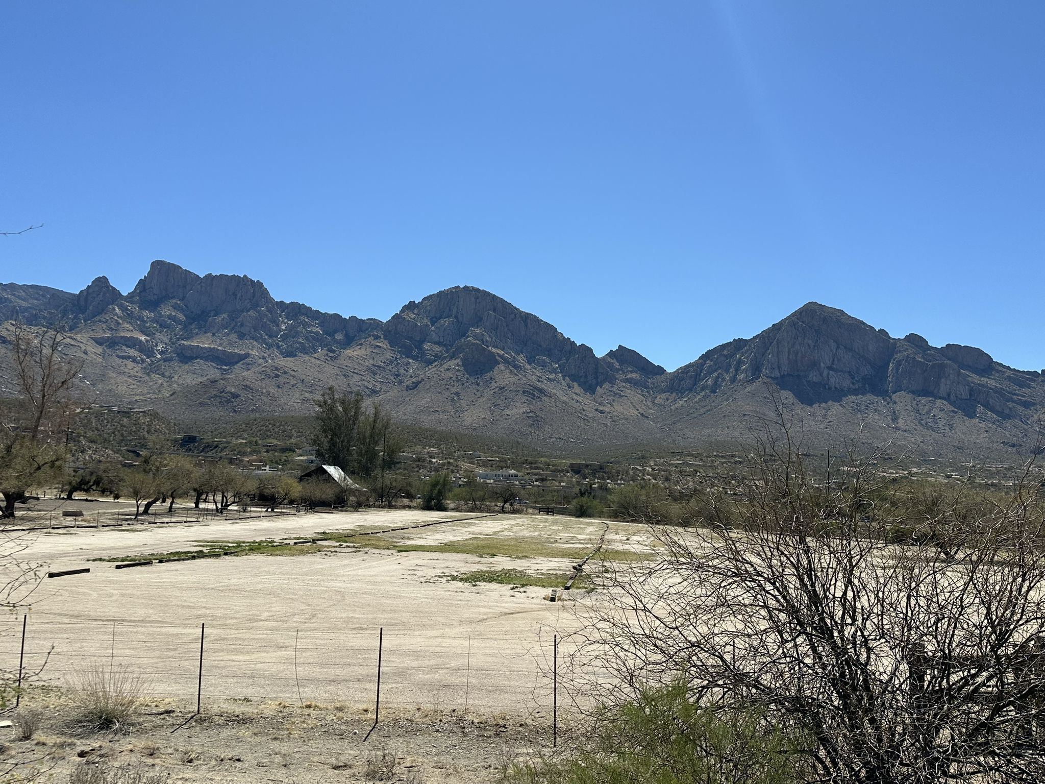 Sunny desert landscape with distant rugged mountains under a clear blue sky. - Cañada del Oro River Park – Cañada del Oro River Trail loop from Sweetwater Preserve