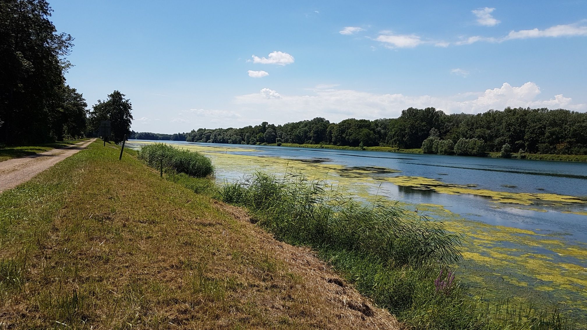 Rhein