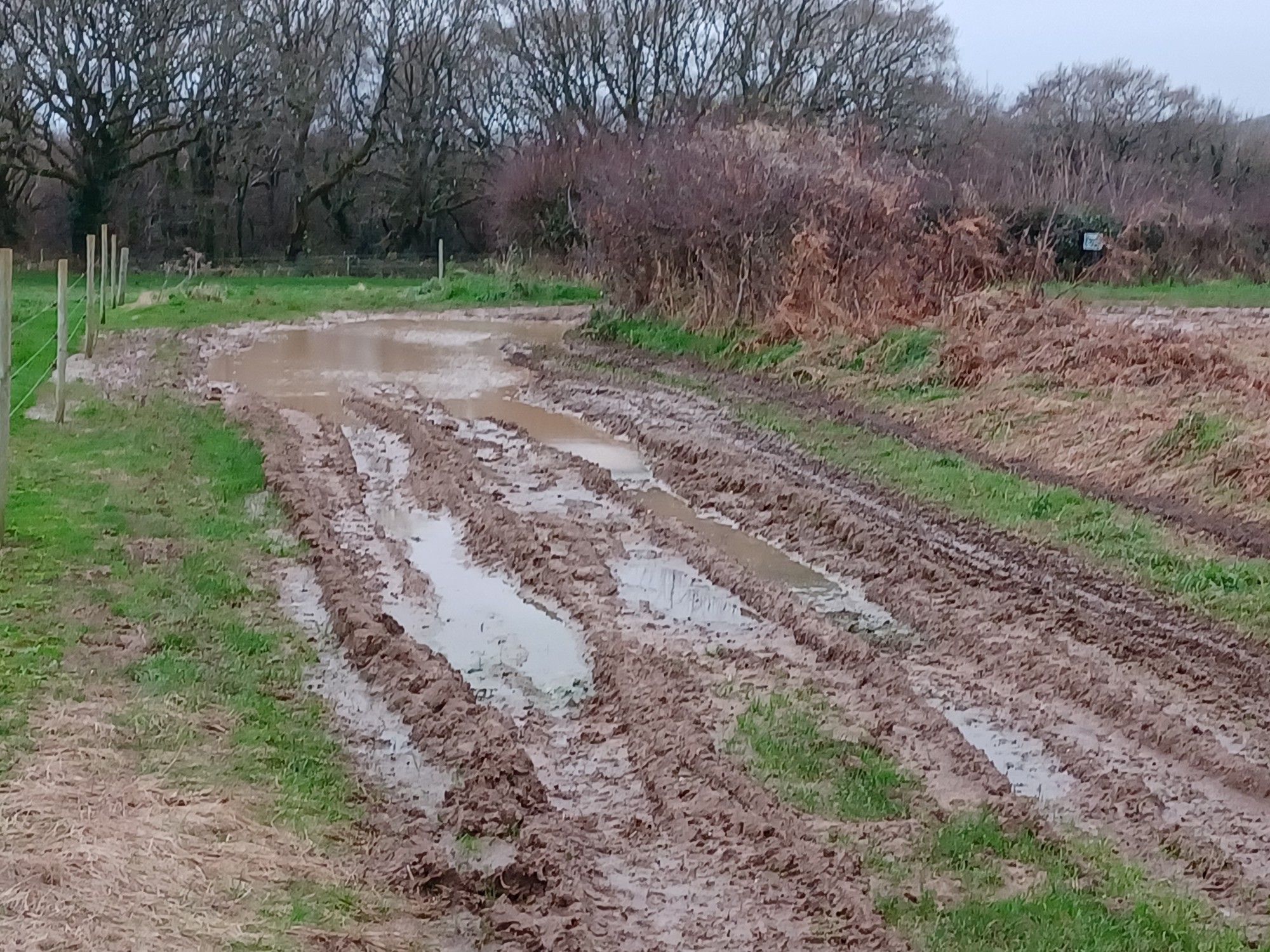 Awash with Mud GL9