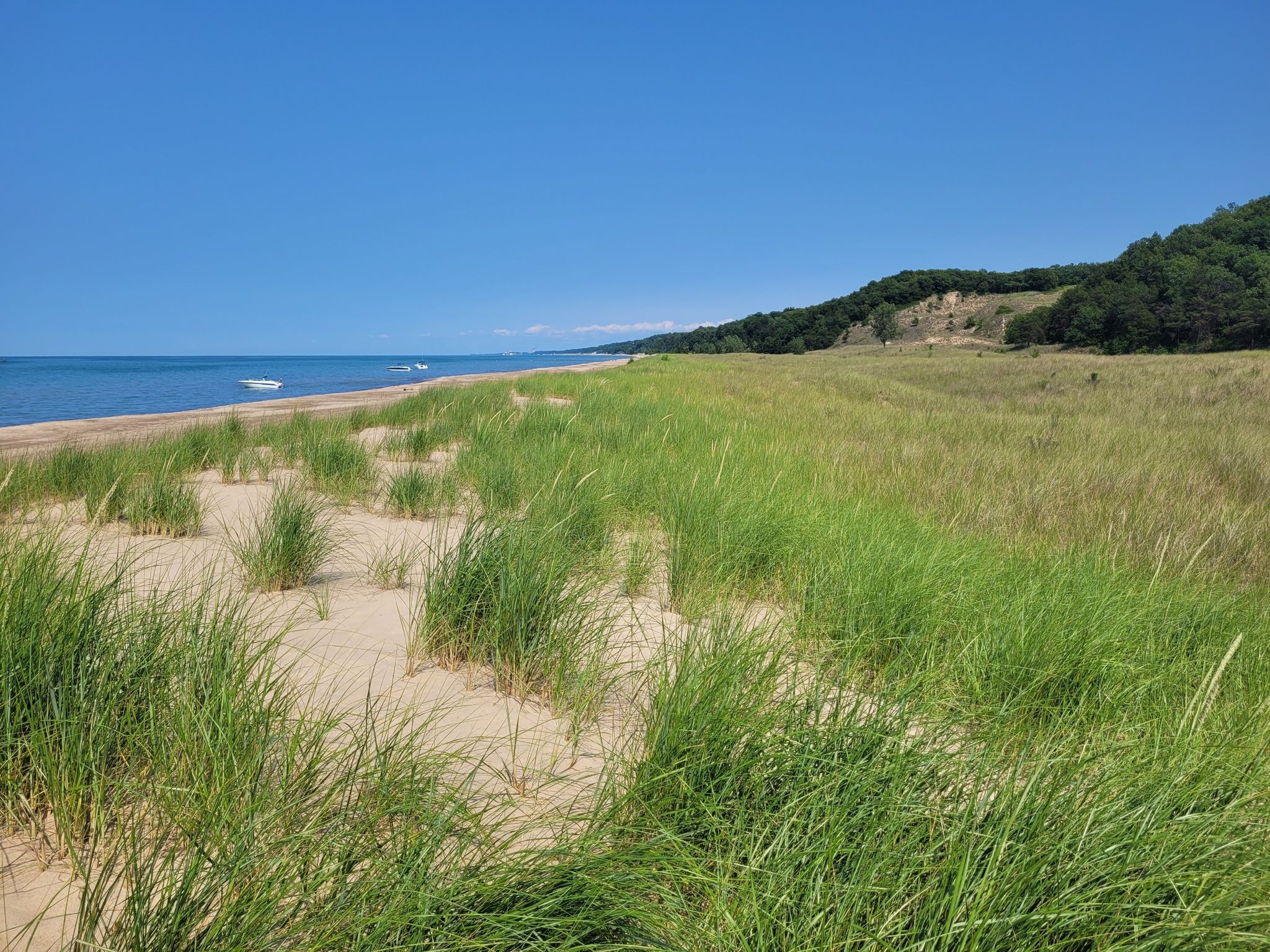 Sunny beach with green dune grass, calm water, and distant tree-covered hills. - Cowles Bog Trail