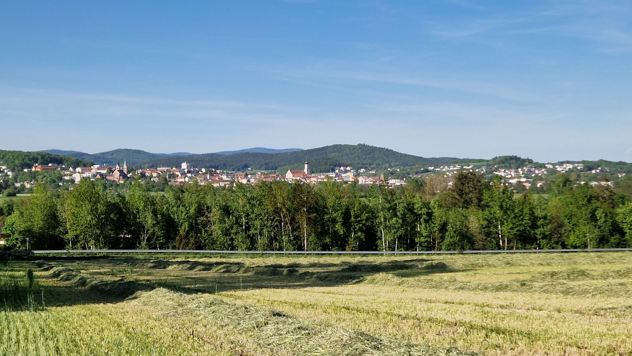 Blick nach Cham