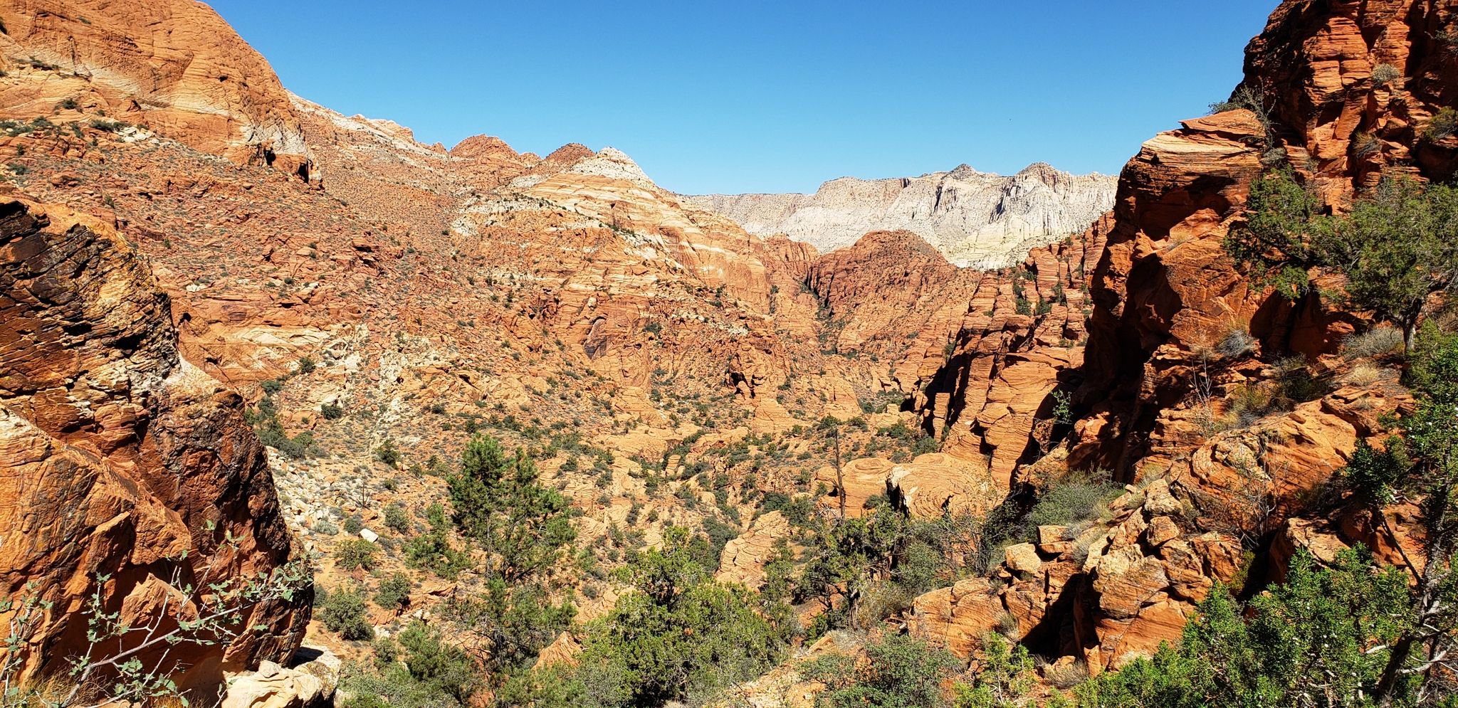 Wide canyon with red rock formations, green brush, and distant mountains. - Padre Canyon Trail