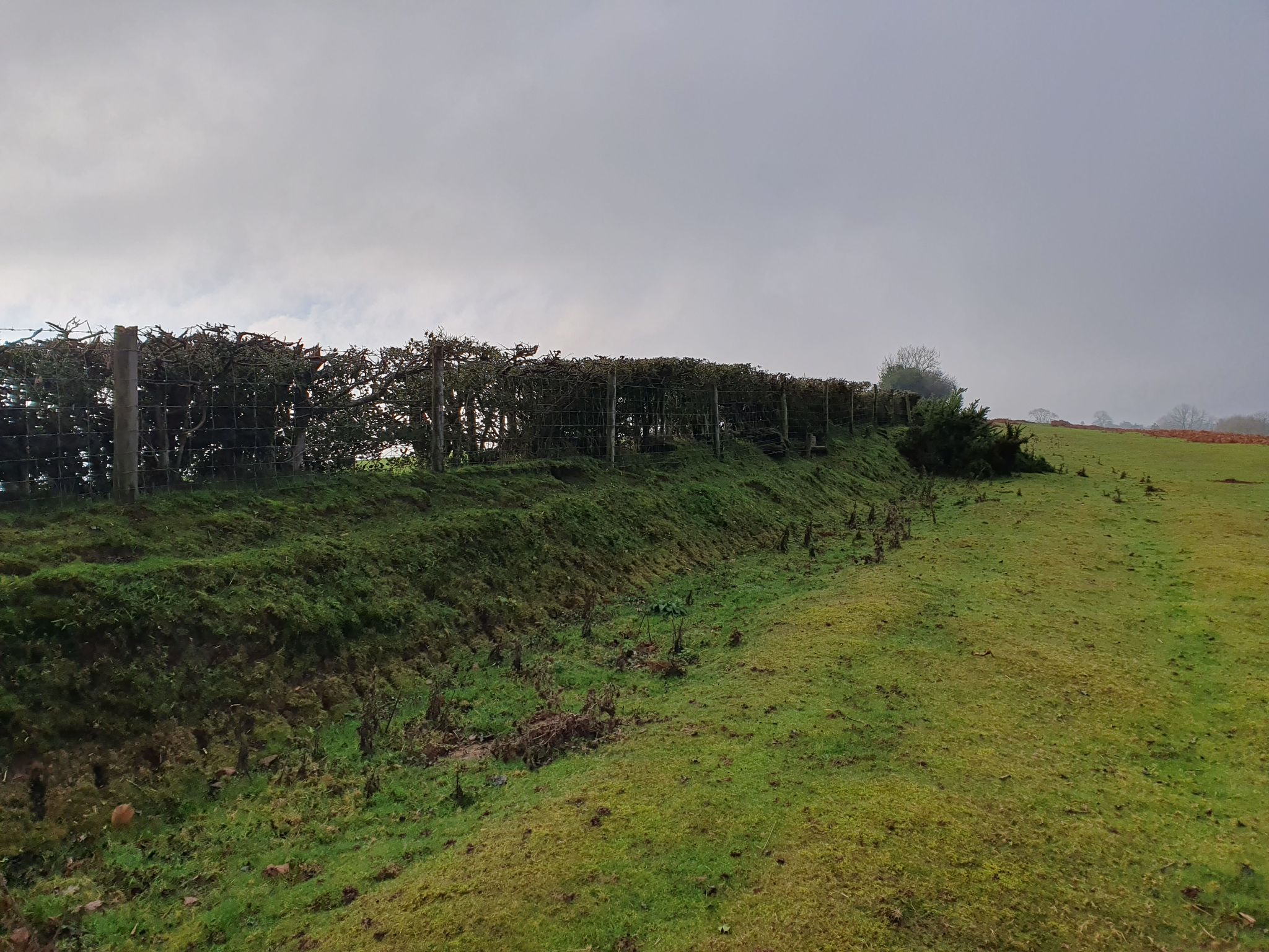 The parish boundary but also common boundary