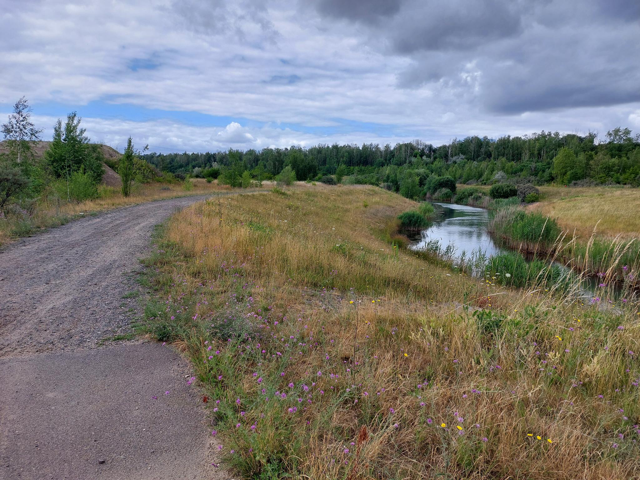 O que descobrir em Nsg Amtsvenn - Huendfelder Moor