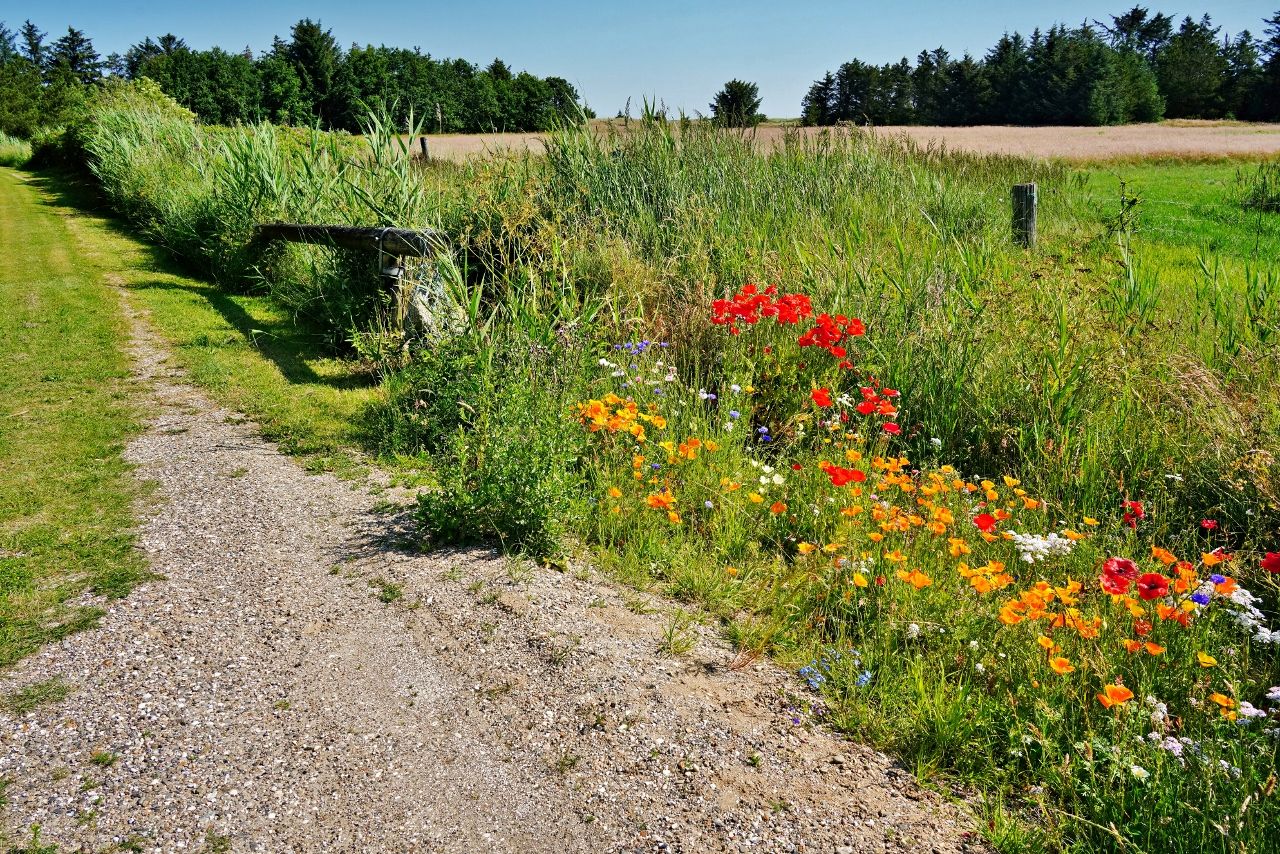 einfach mal so an der Grundstückseinfahrt....