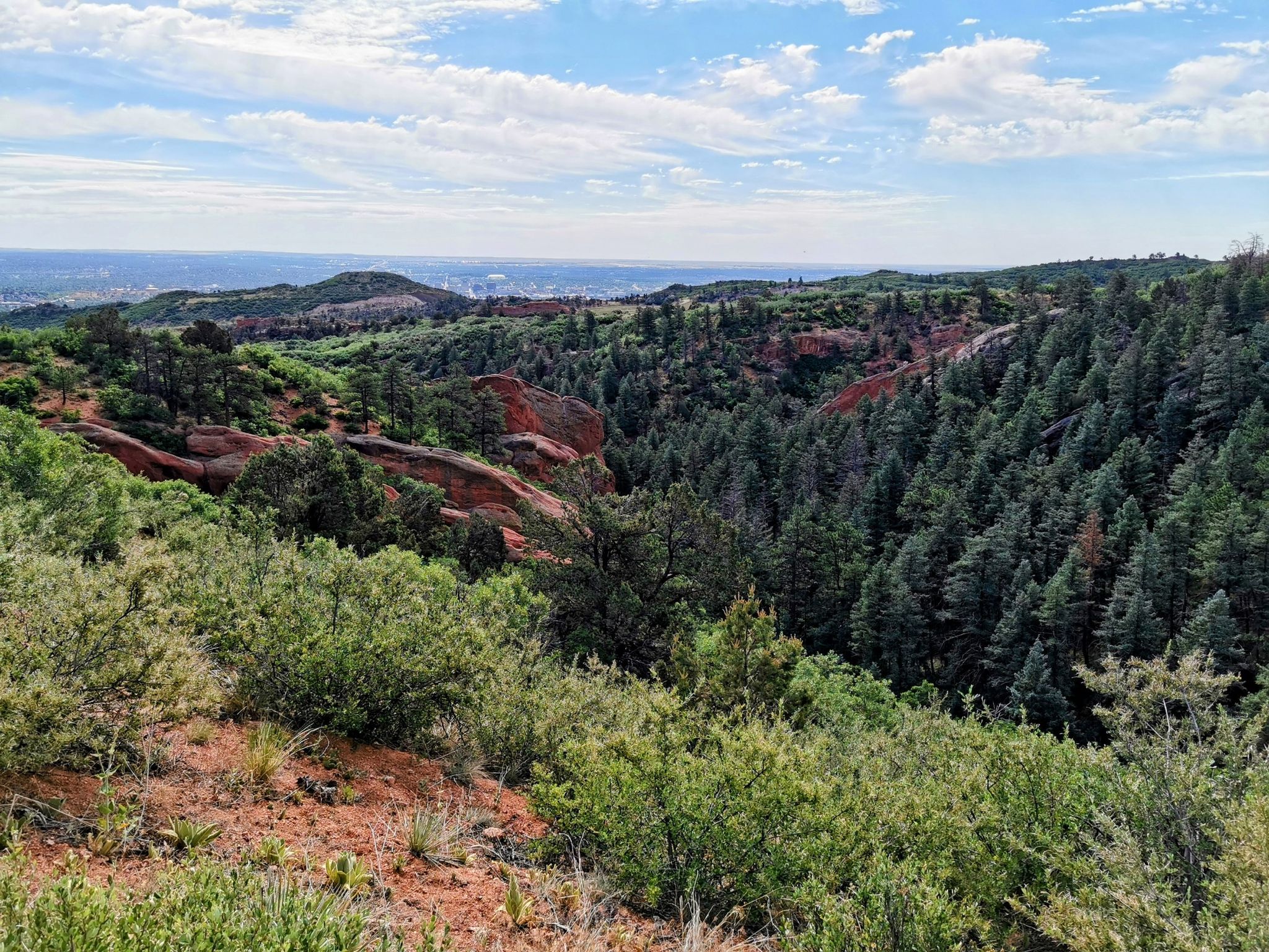 Expansive view of a forested valley with red rock formations under a cloudy sky. - Intemann Trail