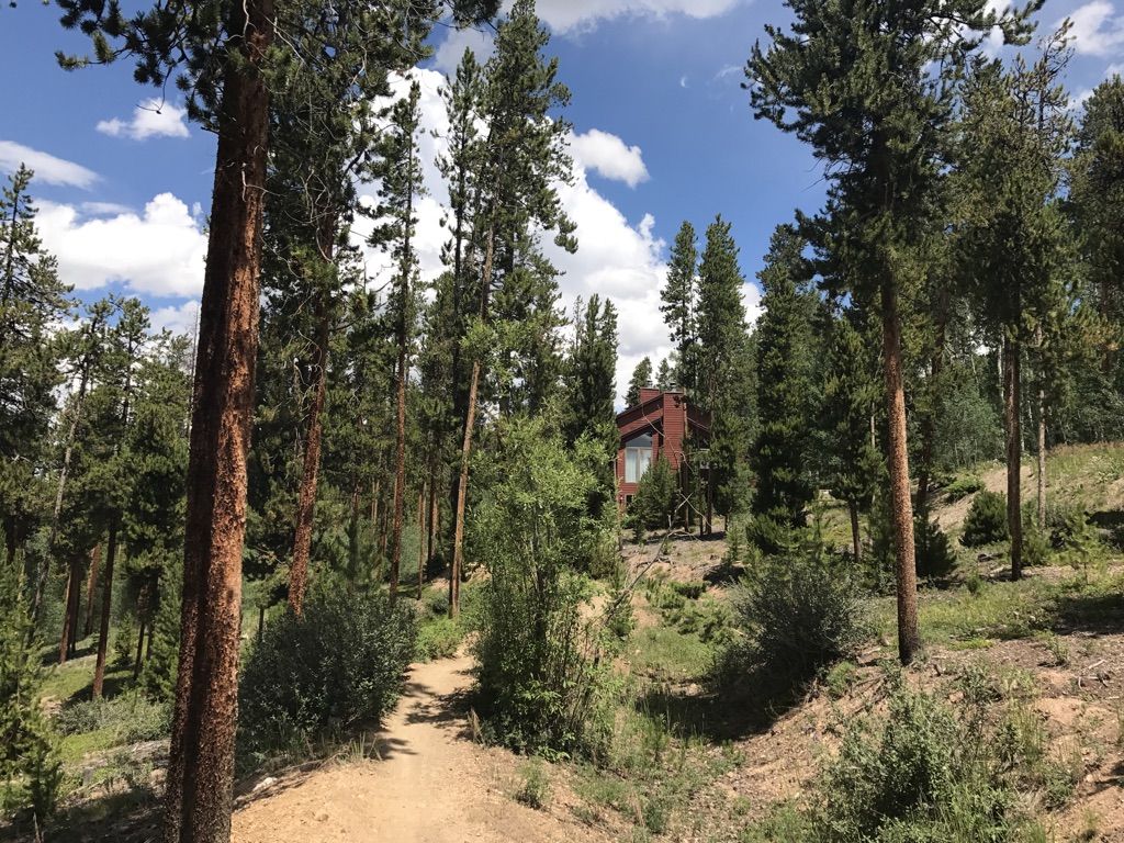 A dirt path winds through a sunny pine forest towards a distant cabin. - Keystone Lake – Keystone Ranch Road loop from Mountain View Plaza
