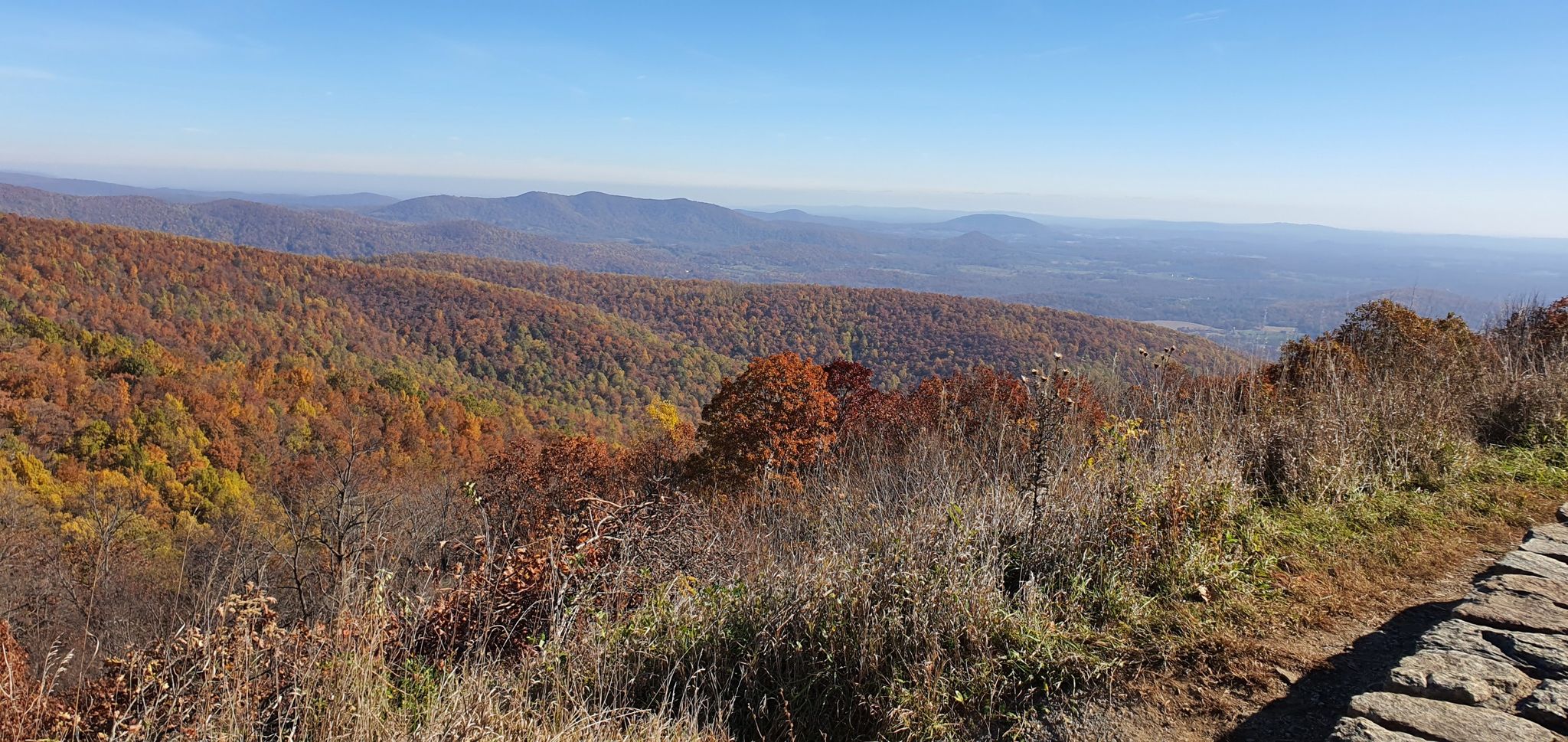 Bright autumn mountain vista with vibrant foliage and clear sky. - Shenandoah Valley Overlook – Compton Gap Trailhead loop from Front Royal