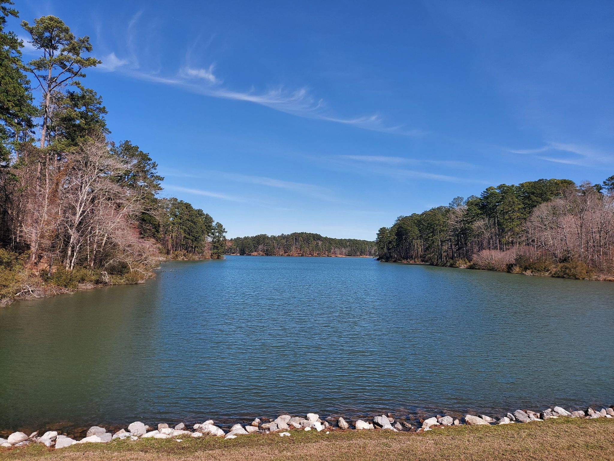 Wide lake surrounded by green and bare trees under a bright blue sky. - Bonita Lakes Full Loop