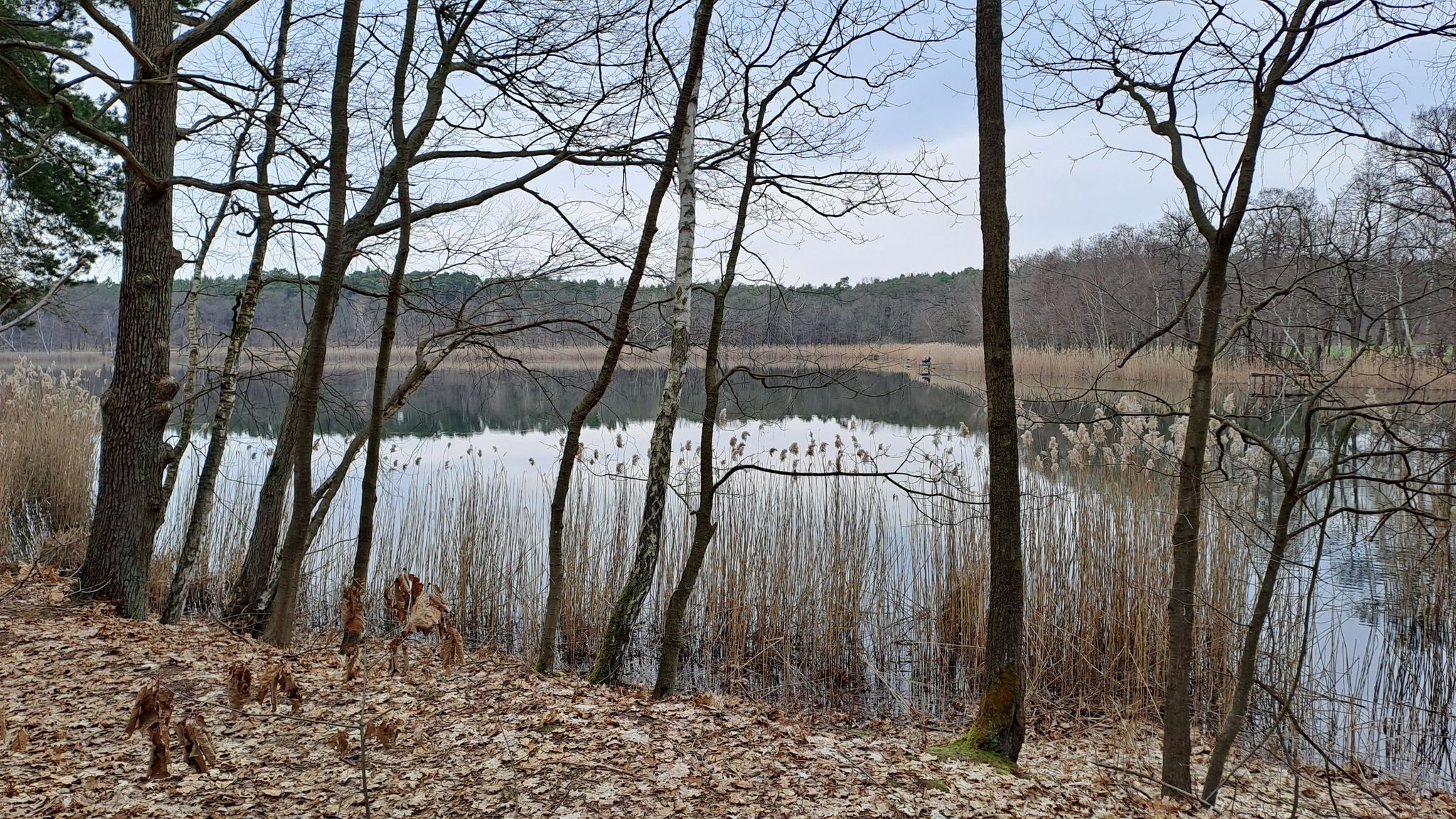 Holbecker See