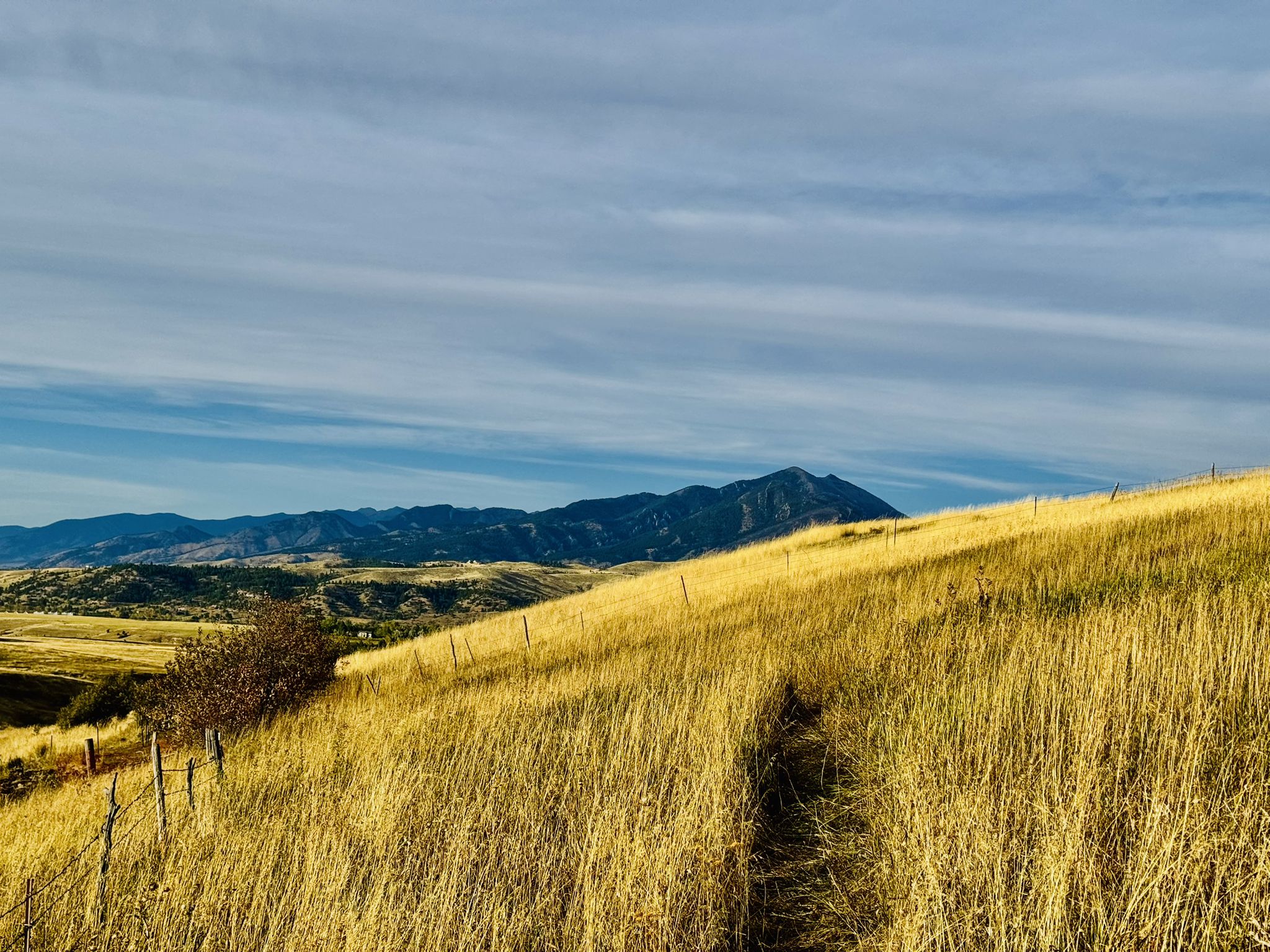 Golden grassy hillside with a path, distant mountains under a partly cloudy sky. - Painted Hills Trail to Triple Tree Trail