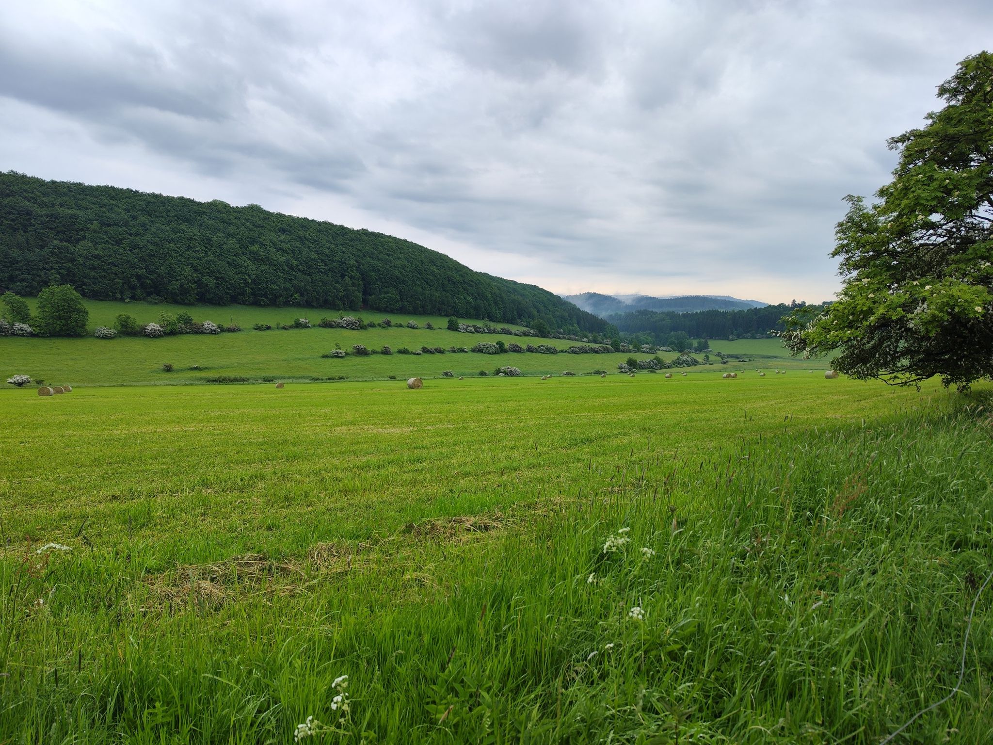 das Felsengebirge Teplice nad Metuji liegt leicht wolkenverhangen vor mir