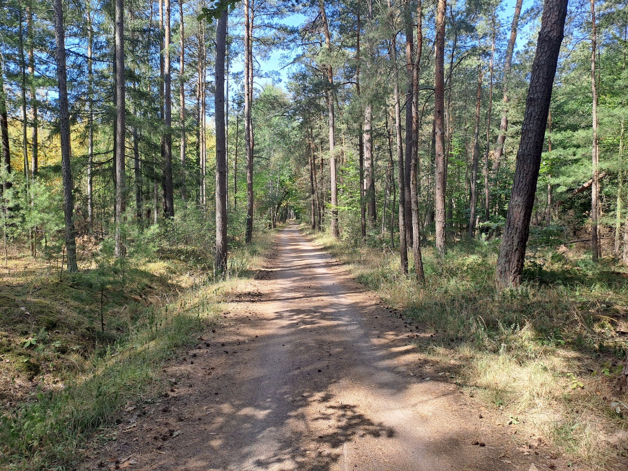 R58 nach Speyer