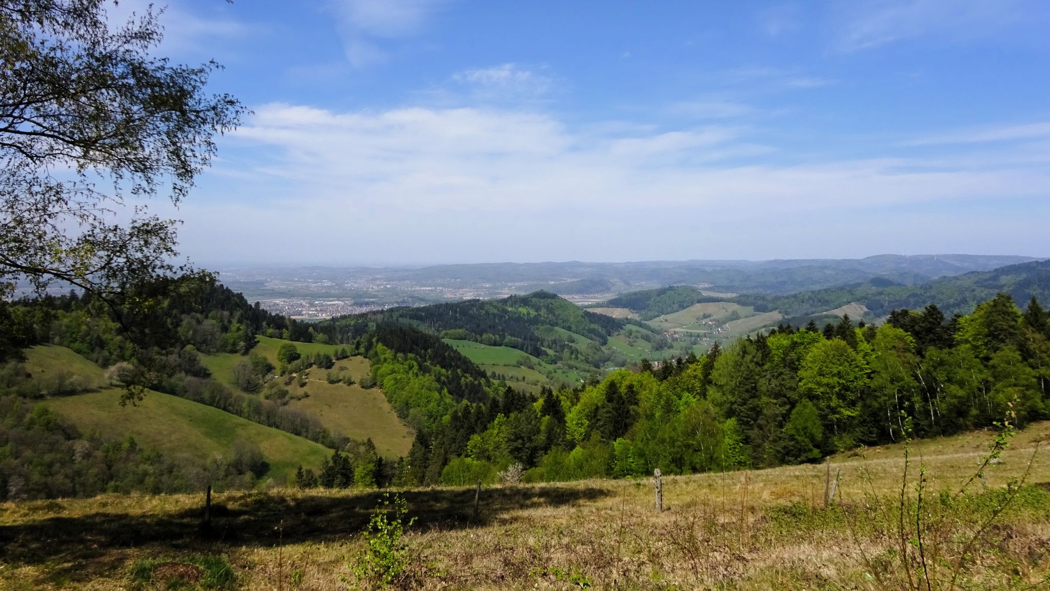 Strecker Eck