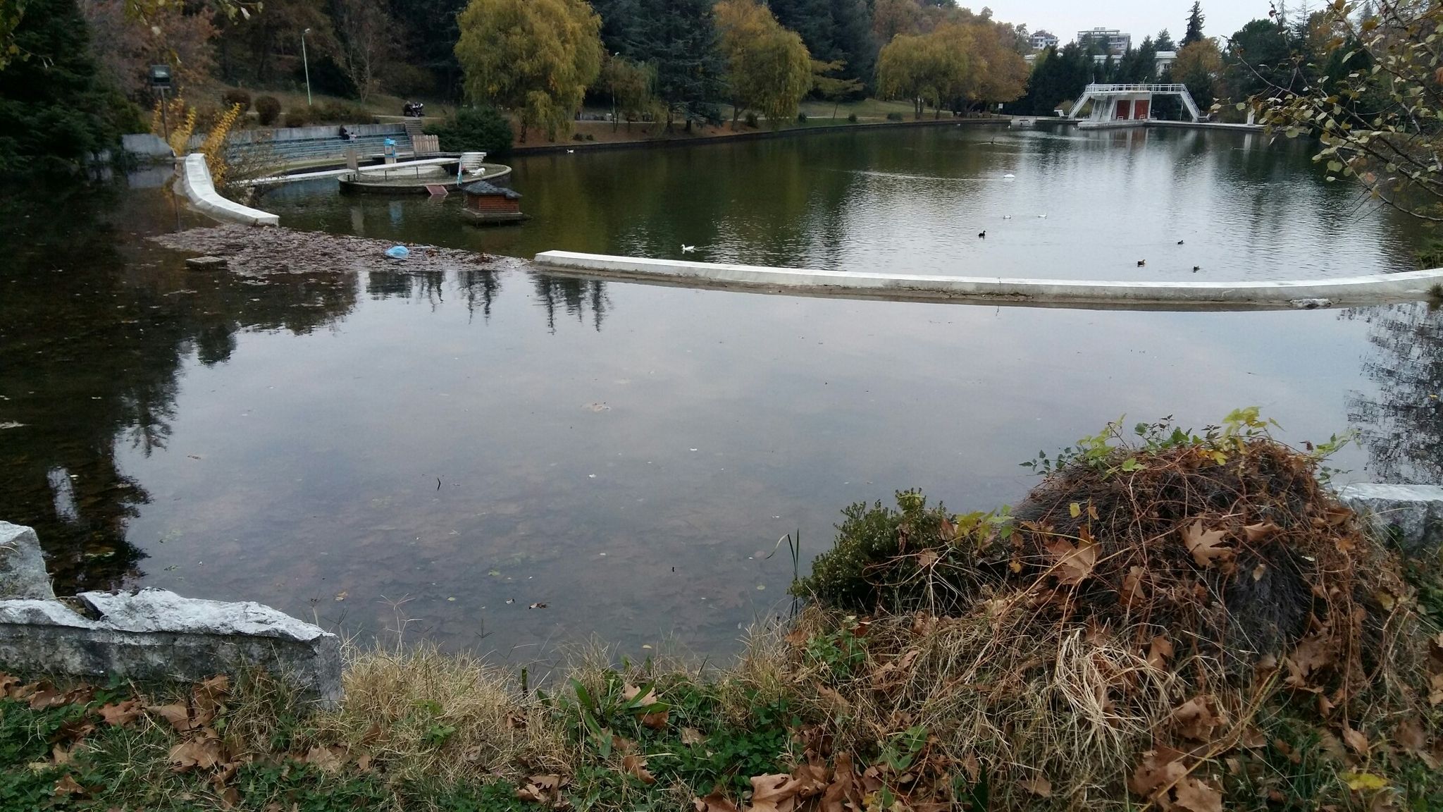 Parkgewässer