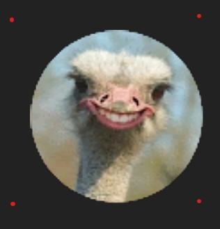 user avatar