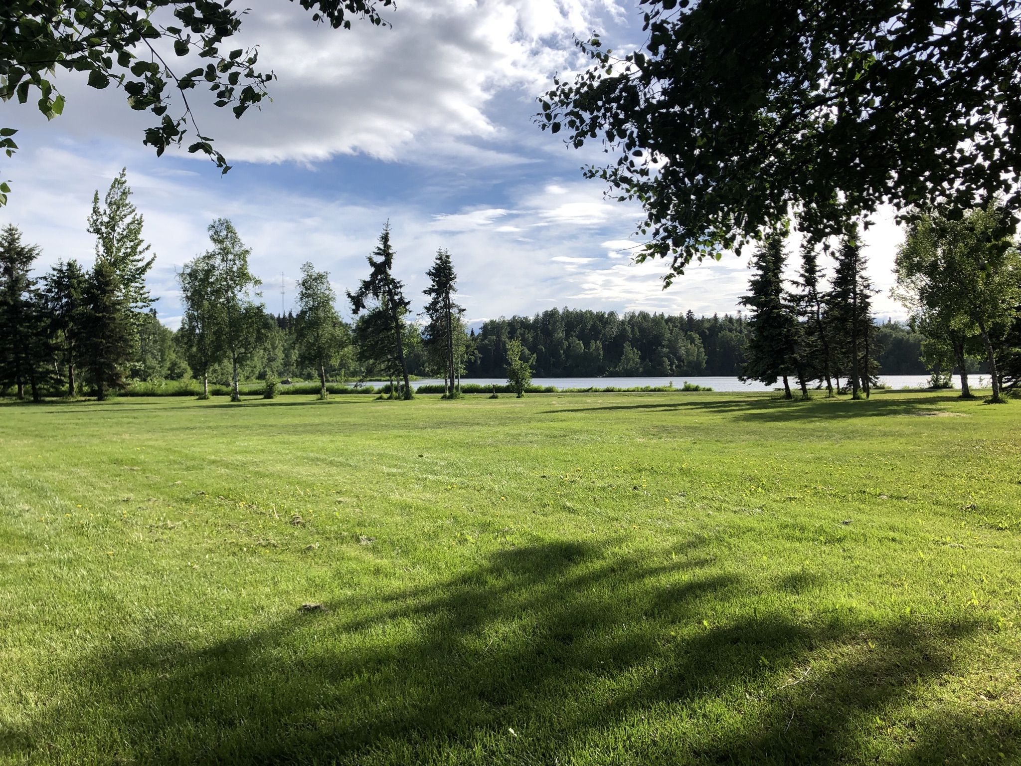 Sunny grassy field with tree shadows, leading to a lake and forest. - Chester Creek Trail