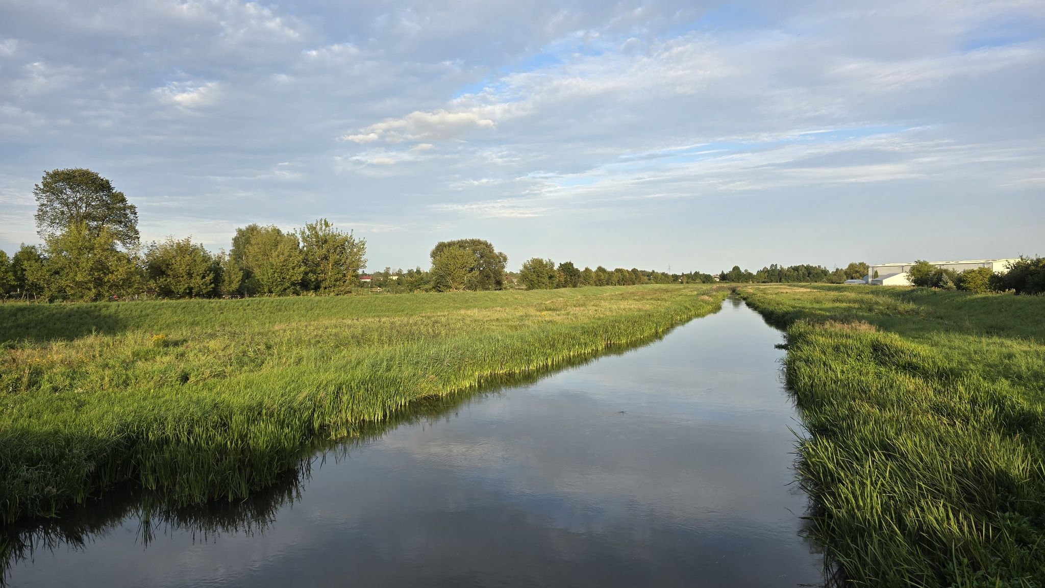 Pilica