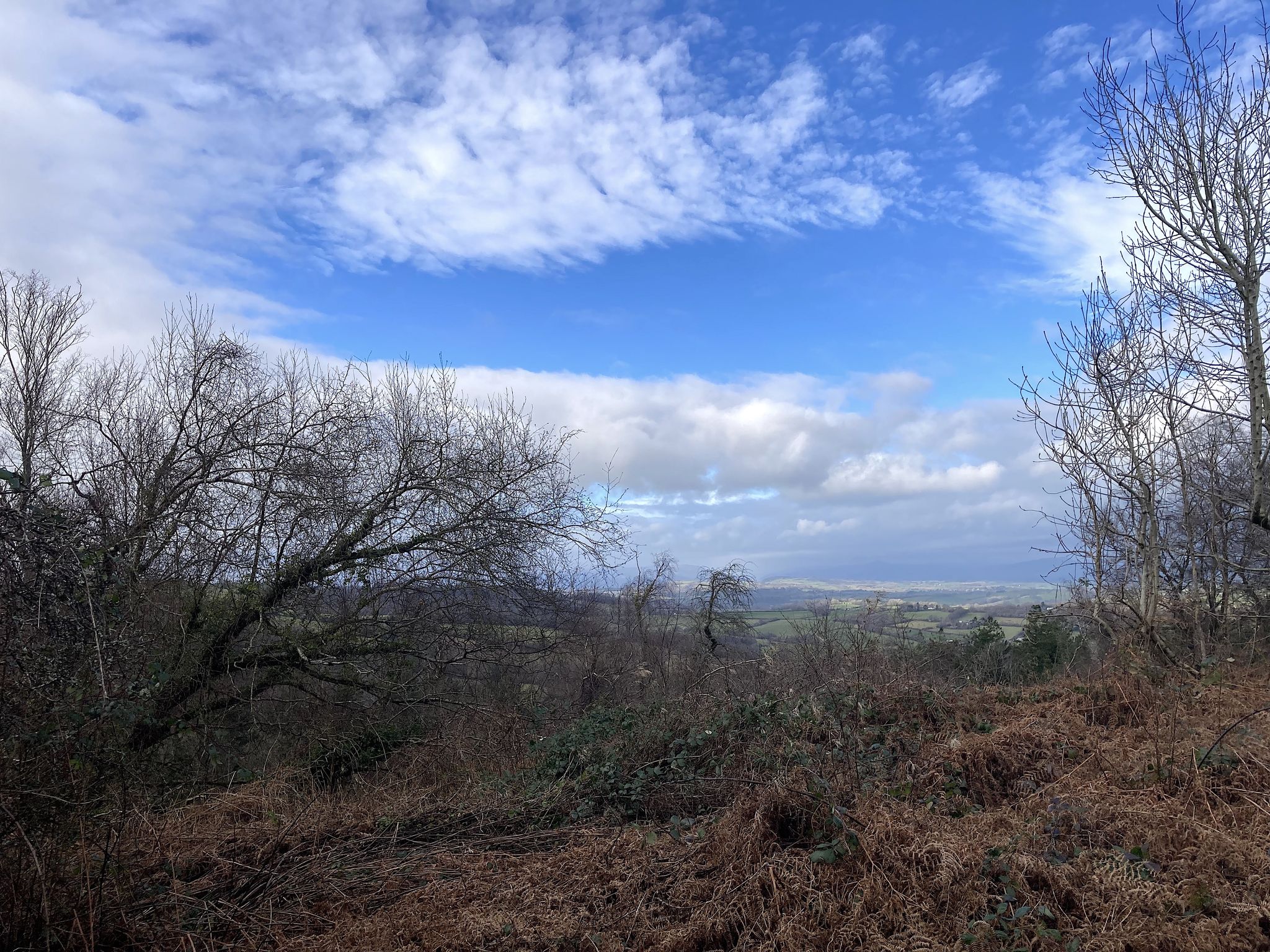 View from Kilgwrrwg (what?)