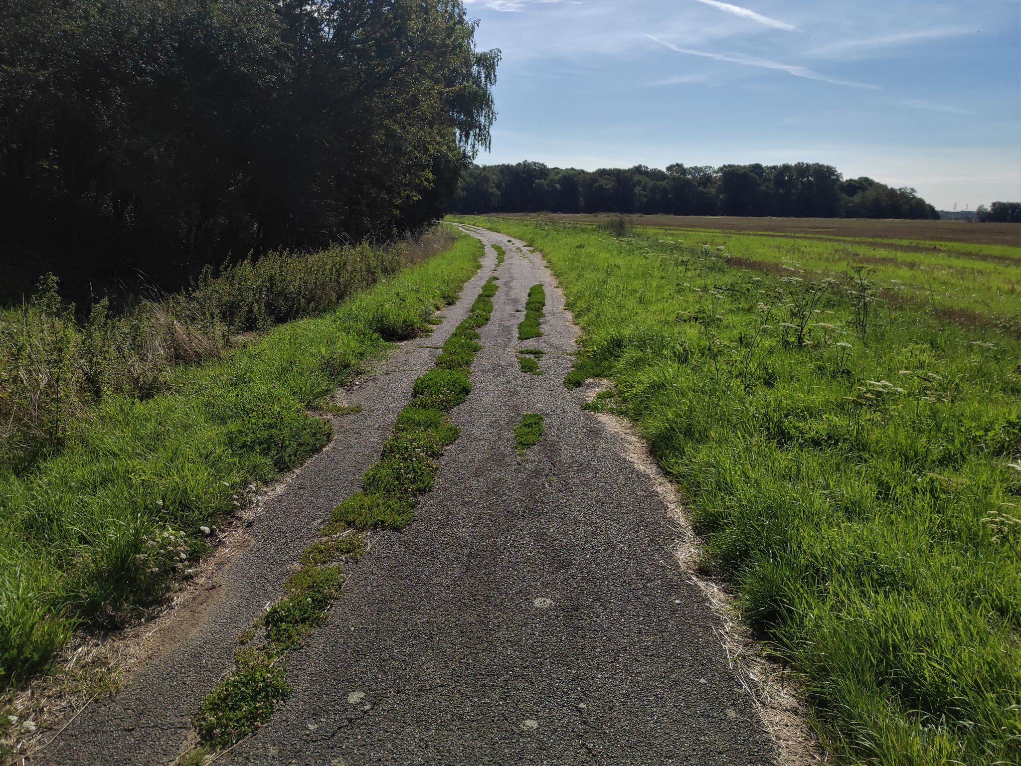 Piste cyclable direction Bievres