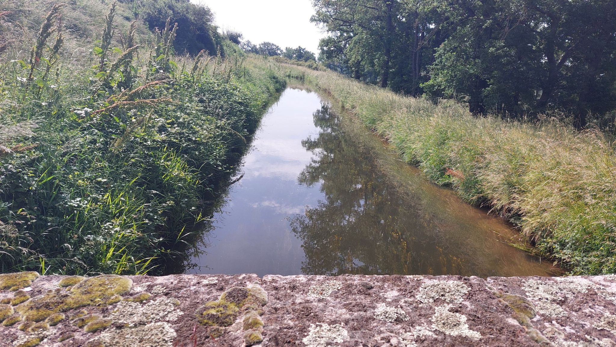 Canal du Forez