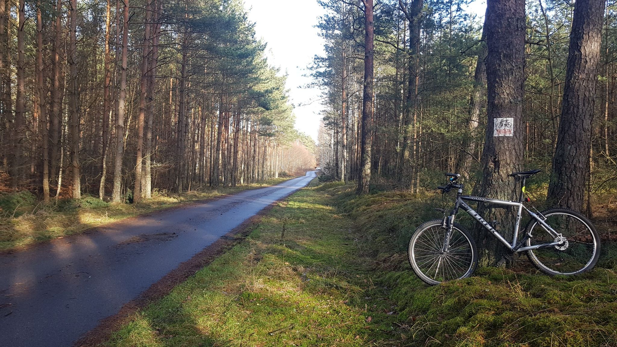 a to zdjęcie tylko dla mnie - przy znaczkach mam przekroczone 25km i zawracam bo chce mieć 50km w sumie nie więcej...