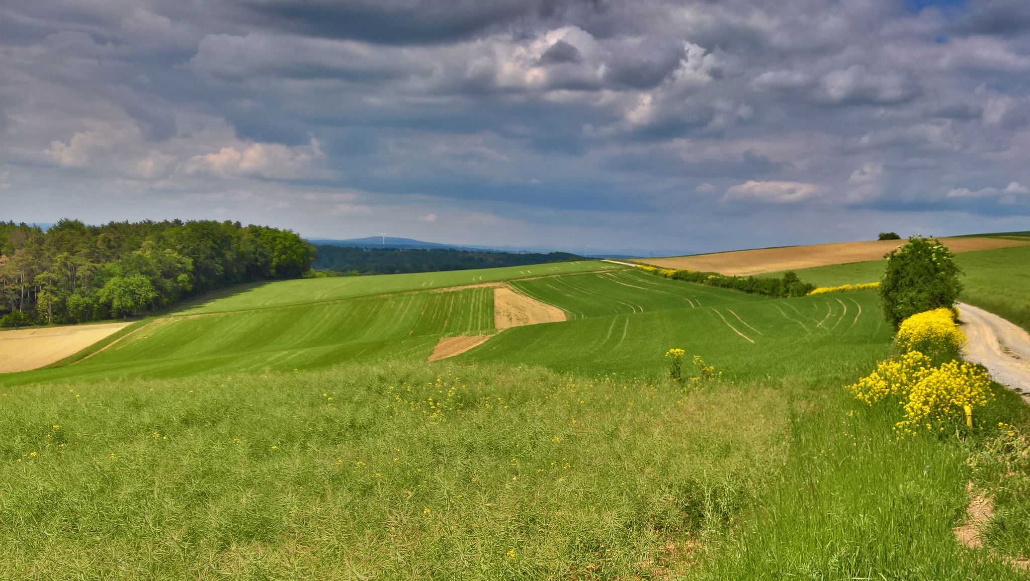 Breitfeldhöhe