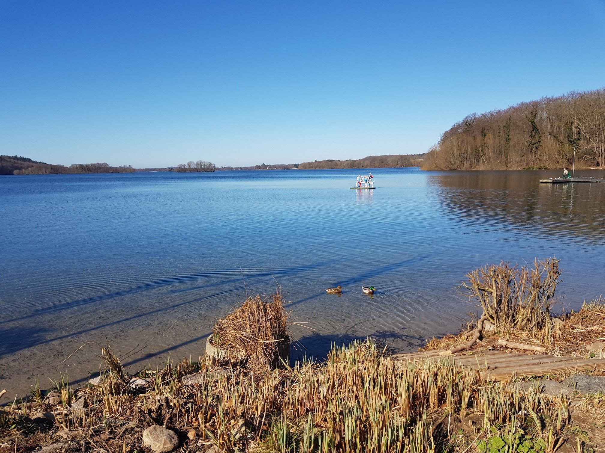 Dieksee