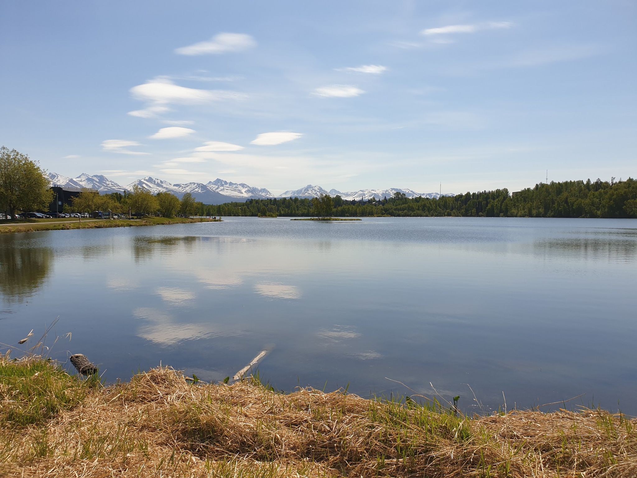 Calm lake reflecting clouds, surrounded by trees and distant snow-capped mountains. - Elderberry Park – Westchester Lagoon loop from Anchorage