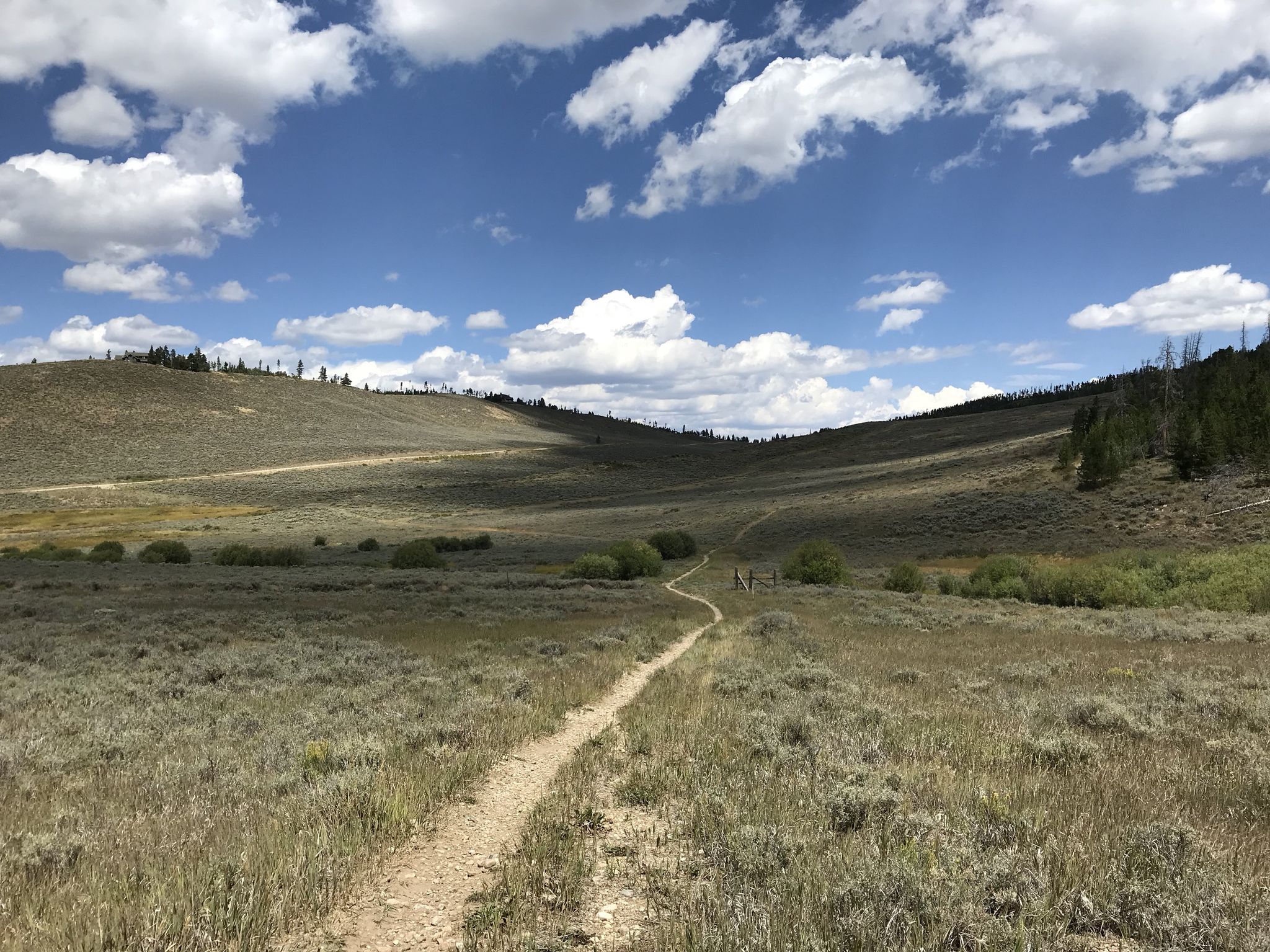 A winding dirt path through a vast grassy valley under a cloudy sky. - Fraser River – East Peak loop from Alpine Acres