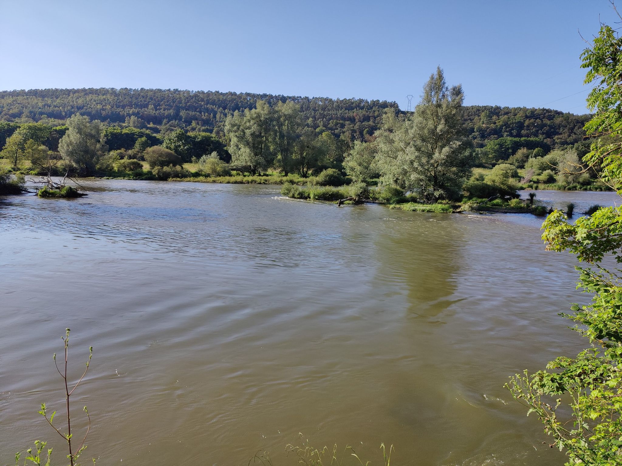 La Meuse sauvage 🤗
