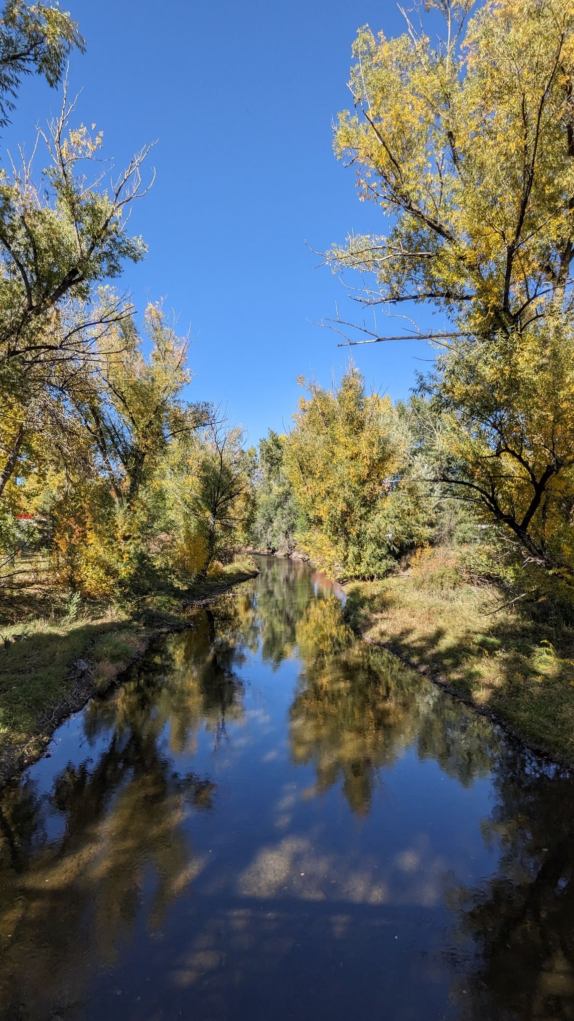 A calm river reflecting vibrant autumn trees under a clear blue sky. - Bear Creek Underpass loop from Federal Correctional Institution, Englewood