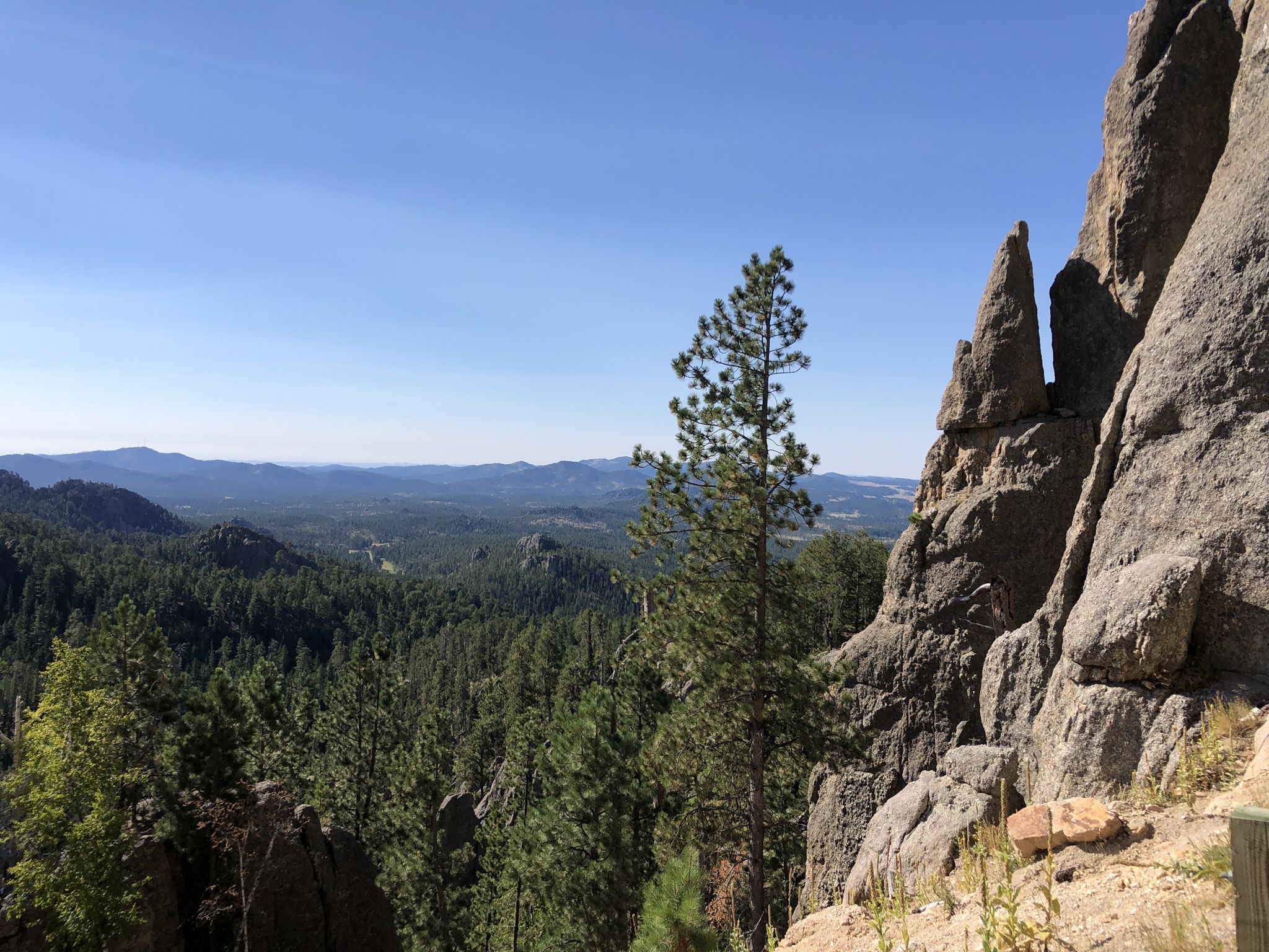 Towering rock formations overlook a vast forest and distant hills under clear sky. - Sylvan Lake – Needles Highway loop from Keystone
