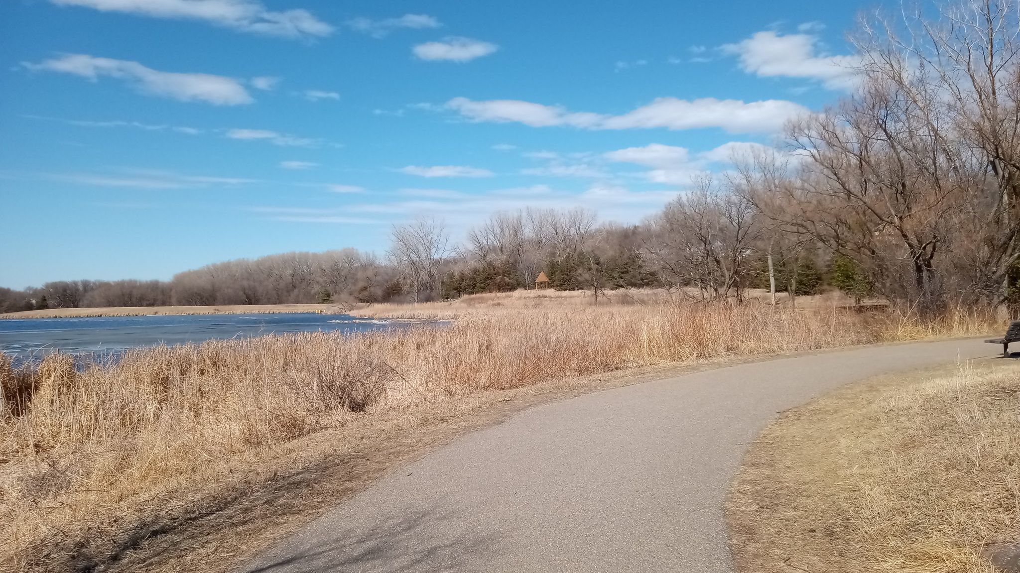 Paved path curves beside a lake with dry reeds and bare trees. - Sunset Pond loop from Southcross Dr