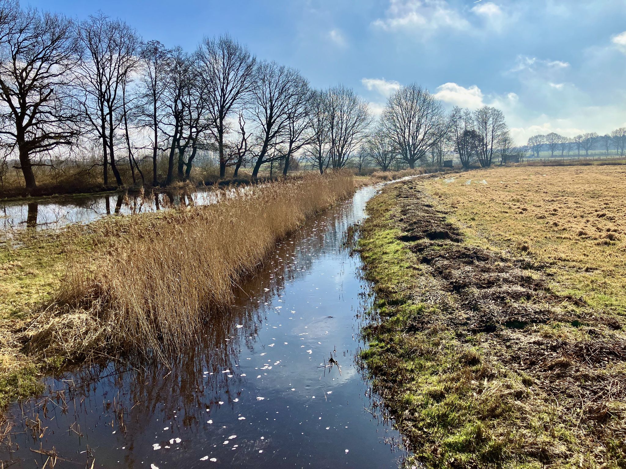 Nochmal die Wulbeck