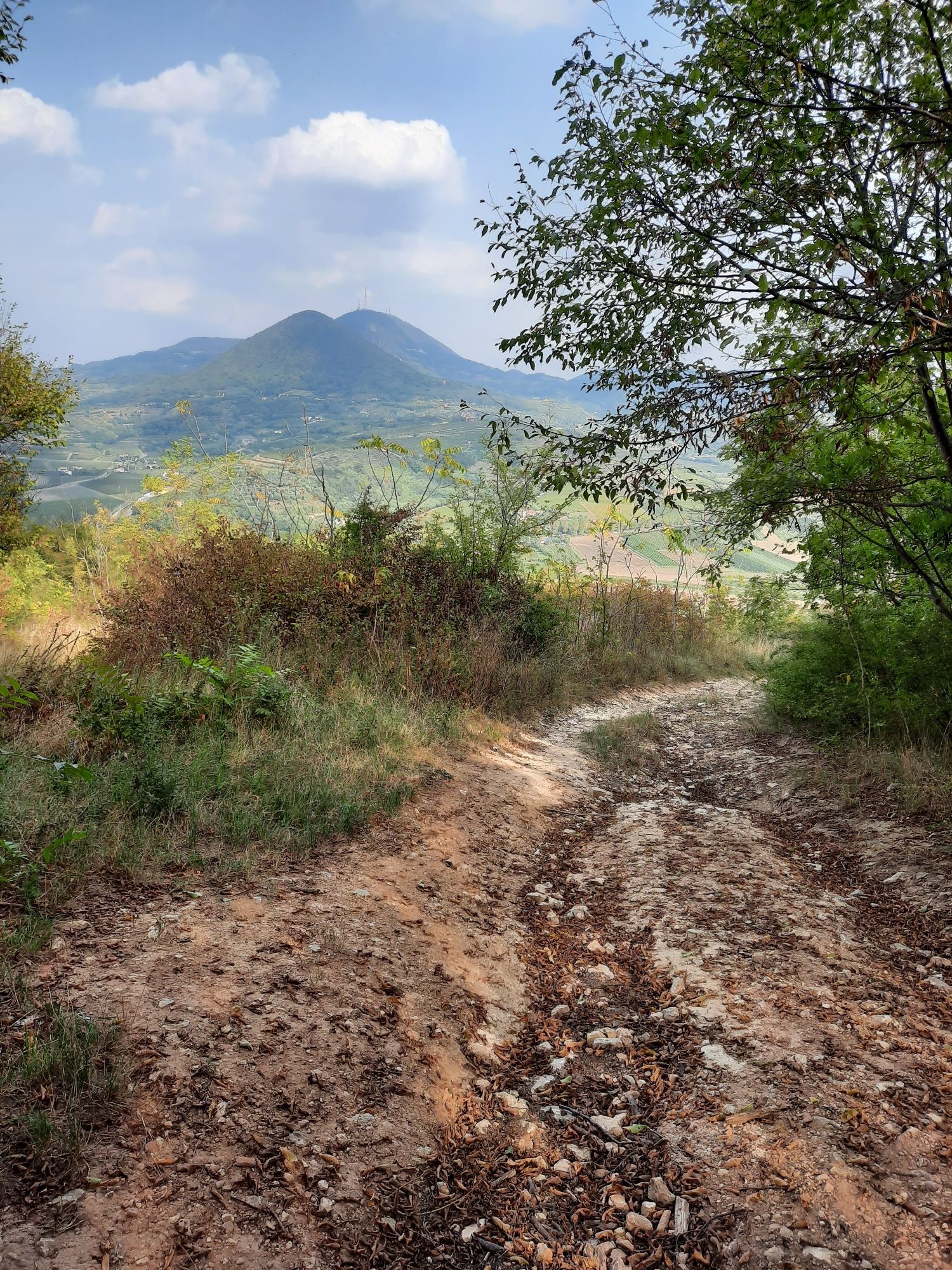 via di fuga
