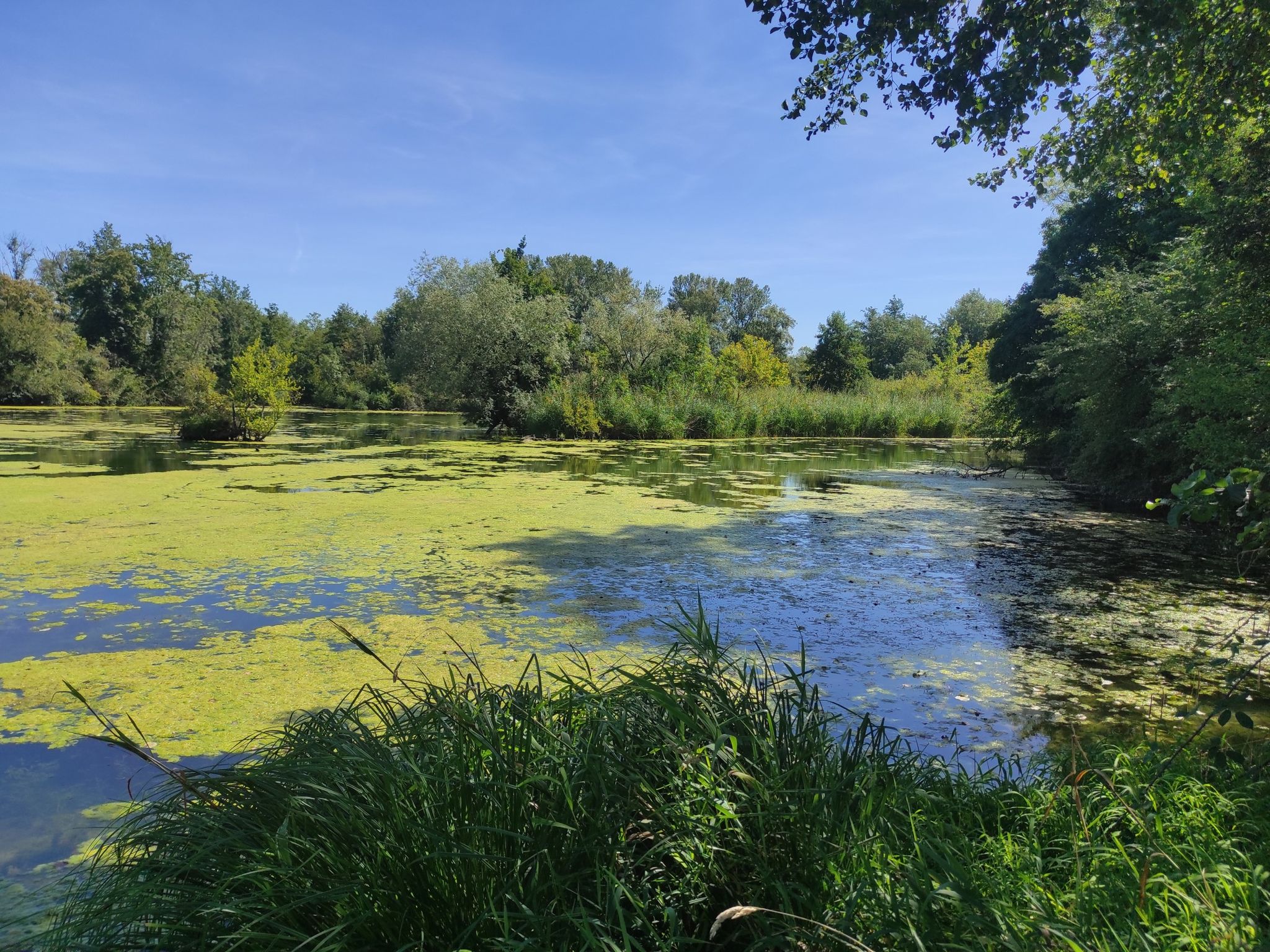 jonction canal de Miribel et Jonage