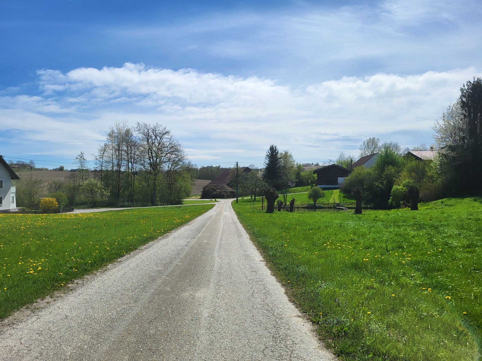 Höribach