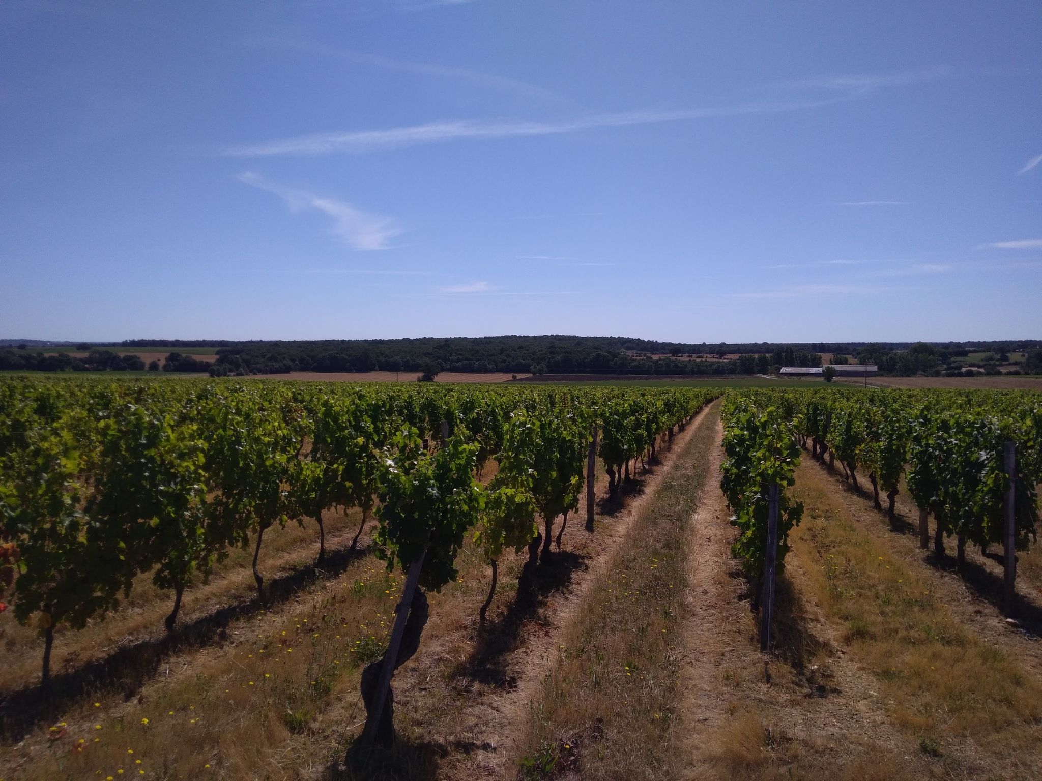 Val du Layon