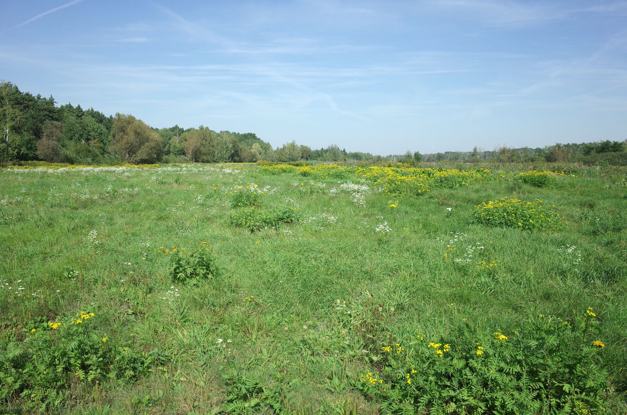 Uroczysko Chlebów