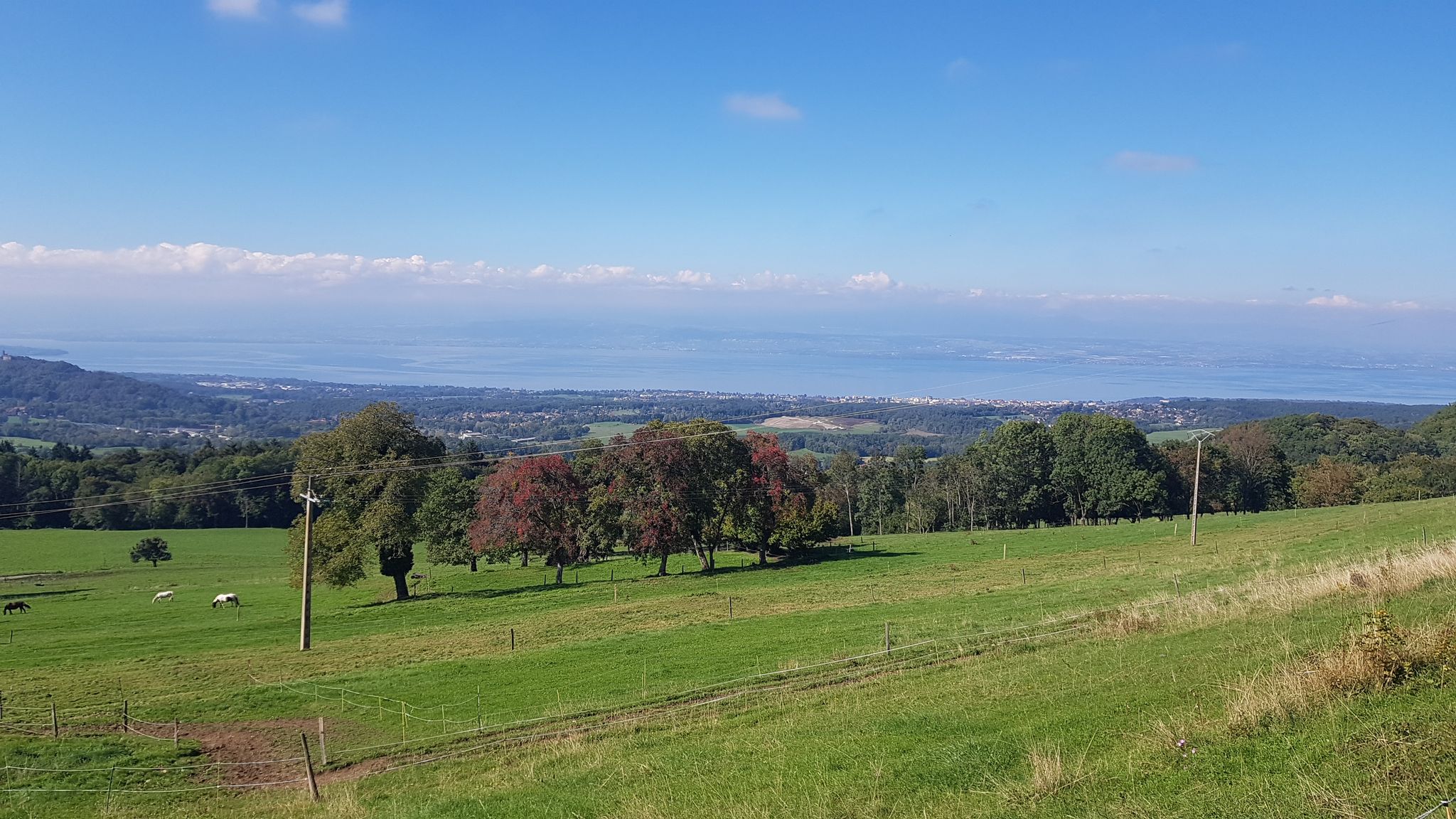 Thonon, le Lac et la Suisse au fond