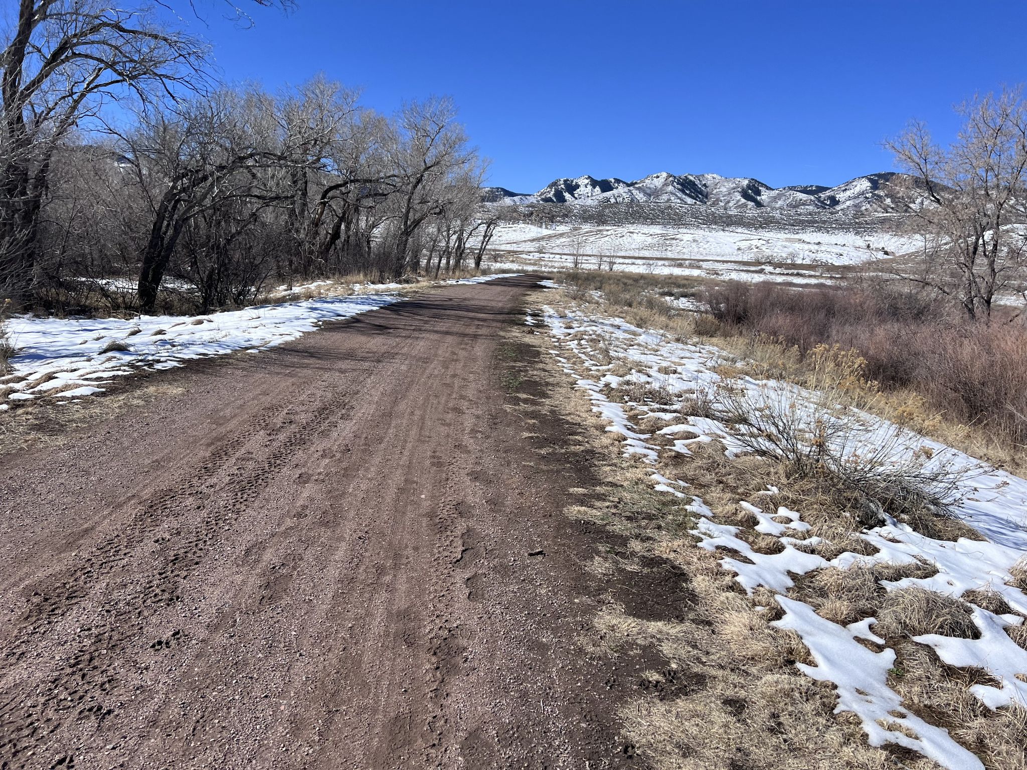 Sunny dirt road with snow patches, bare trees, and distant snow-capped mountains. - Cigar Pond Trail – Chatfield State Park loop from Roxborough Park
