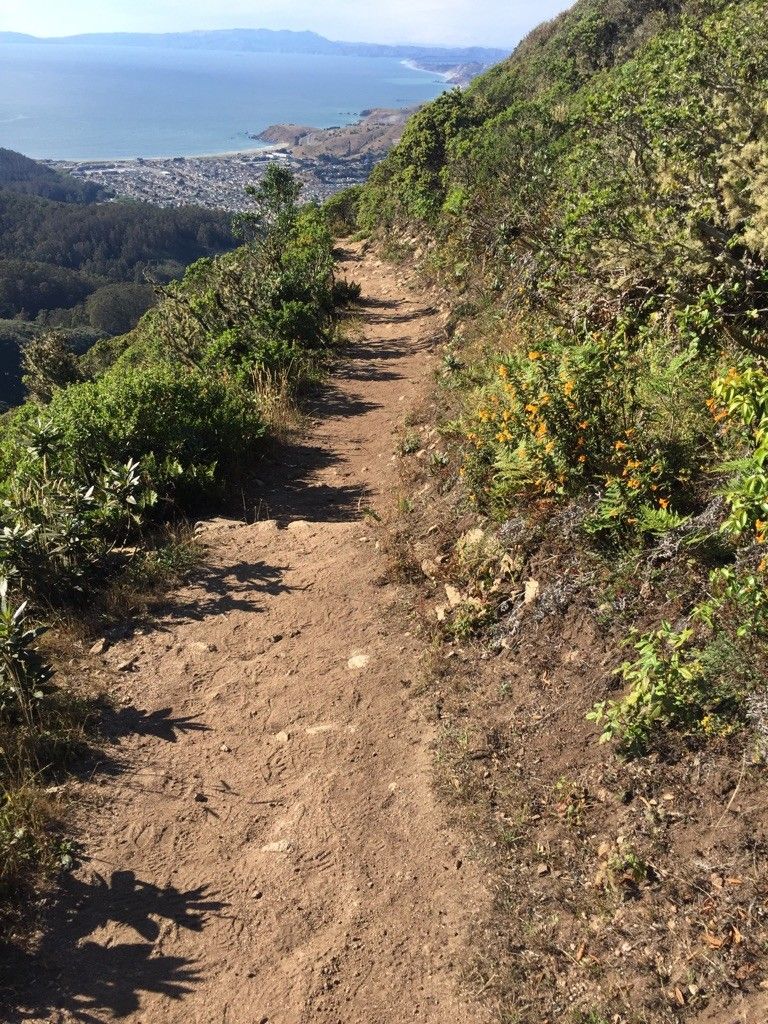 A sunny dirt trail on a steep hillside overlooking a coastal town and ocean. - San Pedro Valley Park Loop