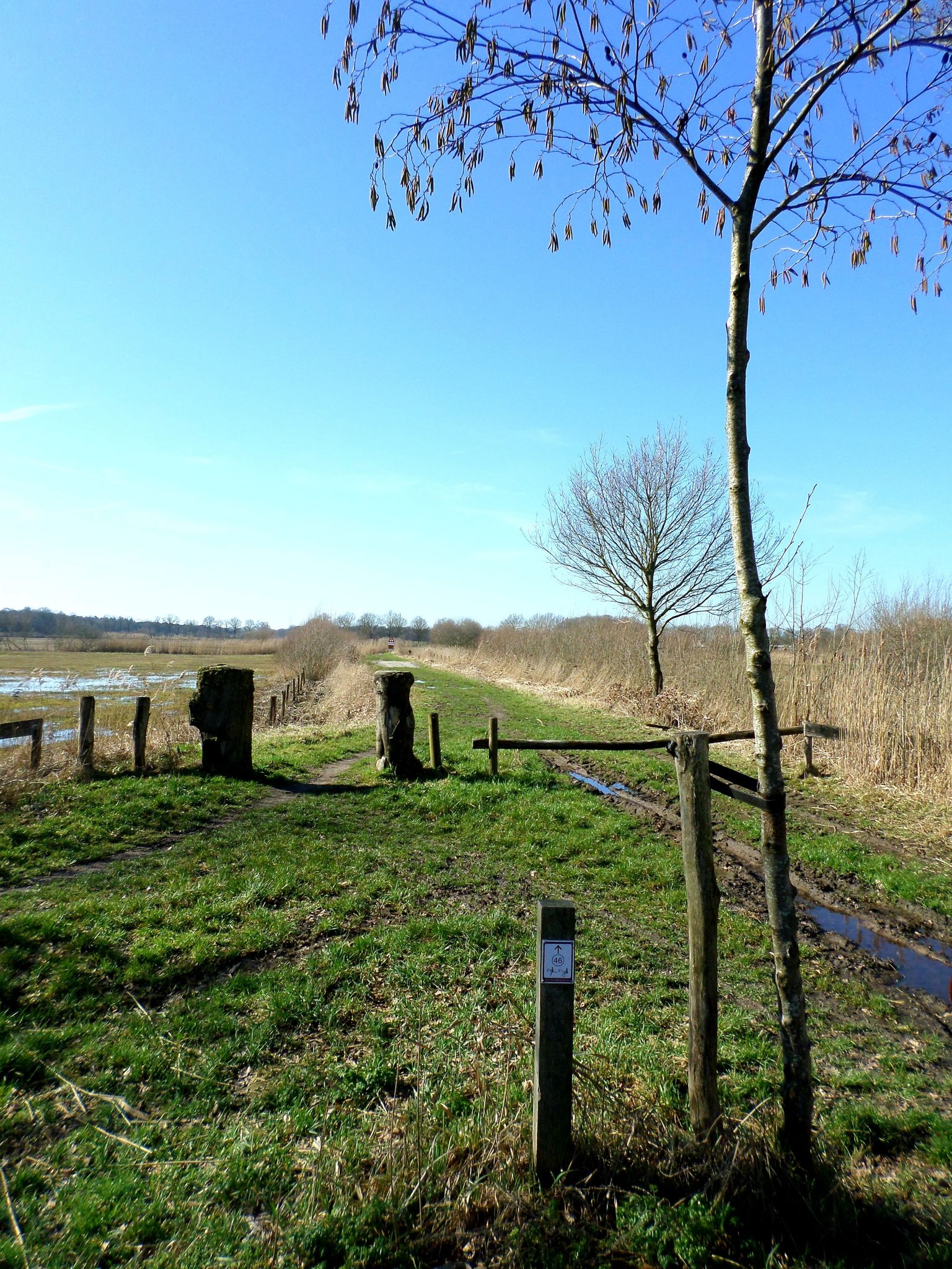 Diessens Broek