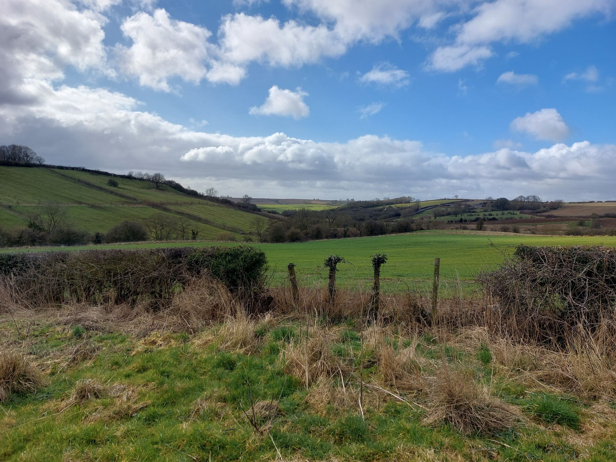 The Rigg and Sittenham Hill