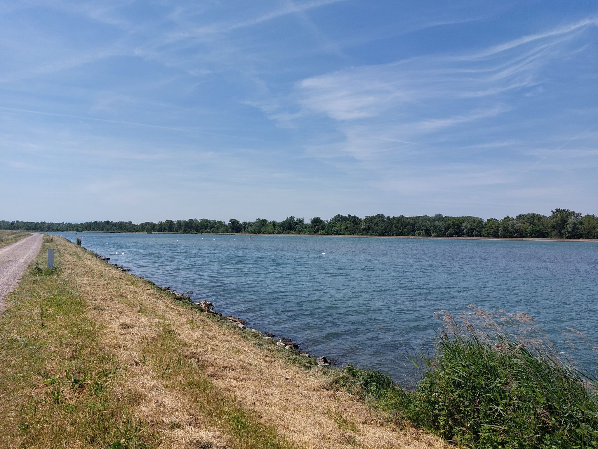 Der Rhein