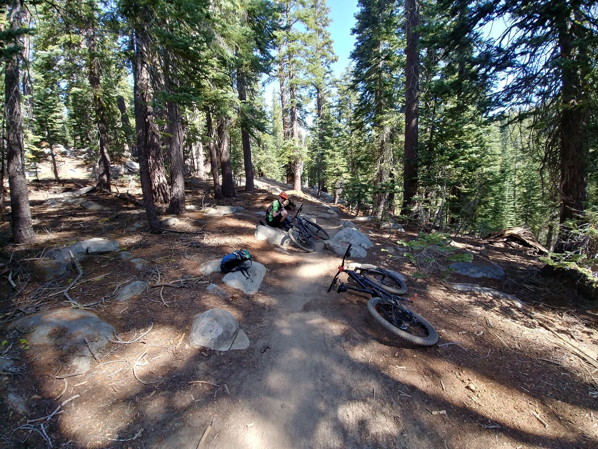 Two mountain bikes and a person resting on a dirt trail in a forest. - Saxon Creek Trail & Mr. Toad's Wild Ride