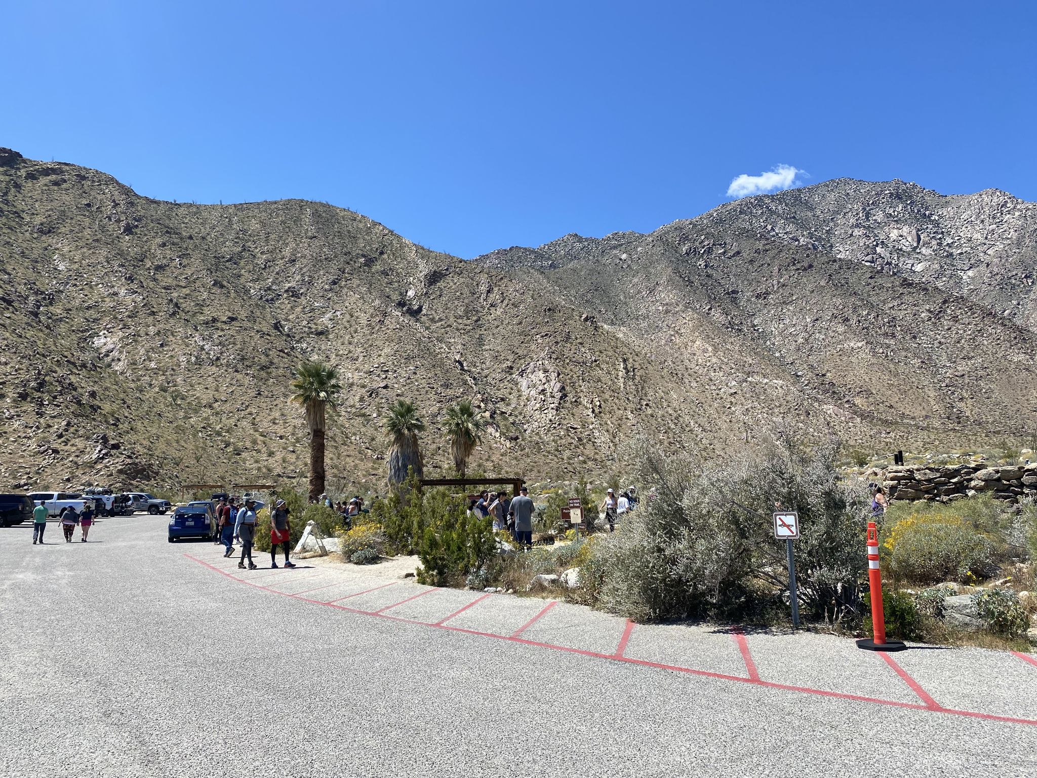 Parking lot with people and cars, surrounded by mountains and desert plants. - Galleta Meadows Sculptures – Serpent Sculpture loop from Borrego Springs