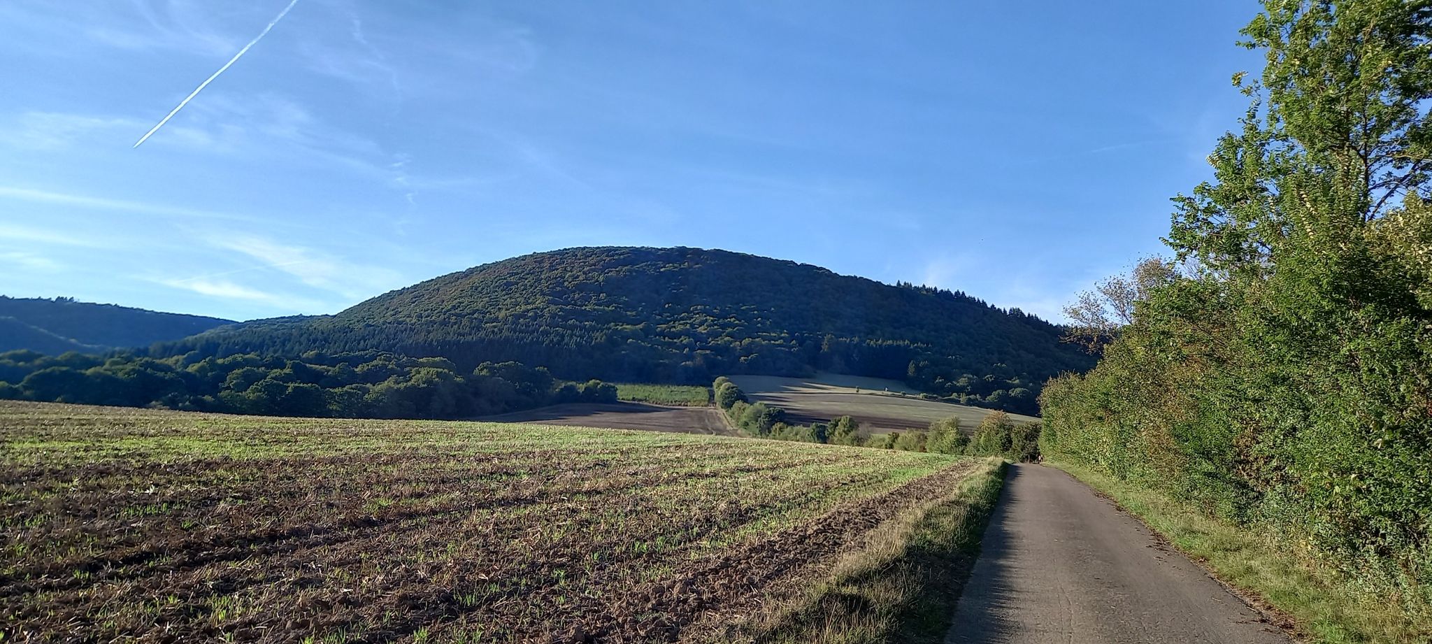 Wandern