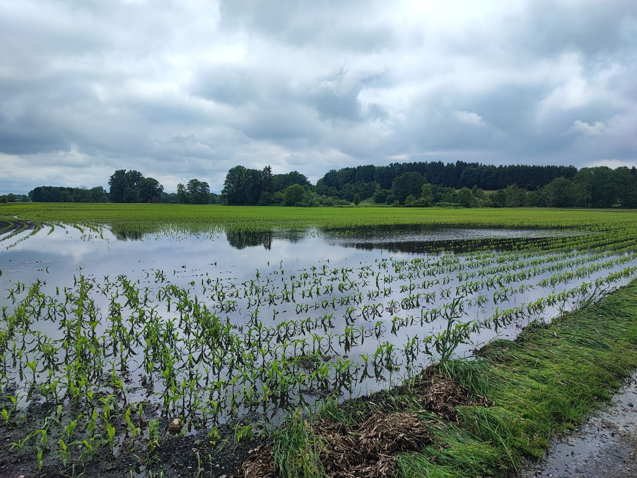 Land unter